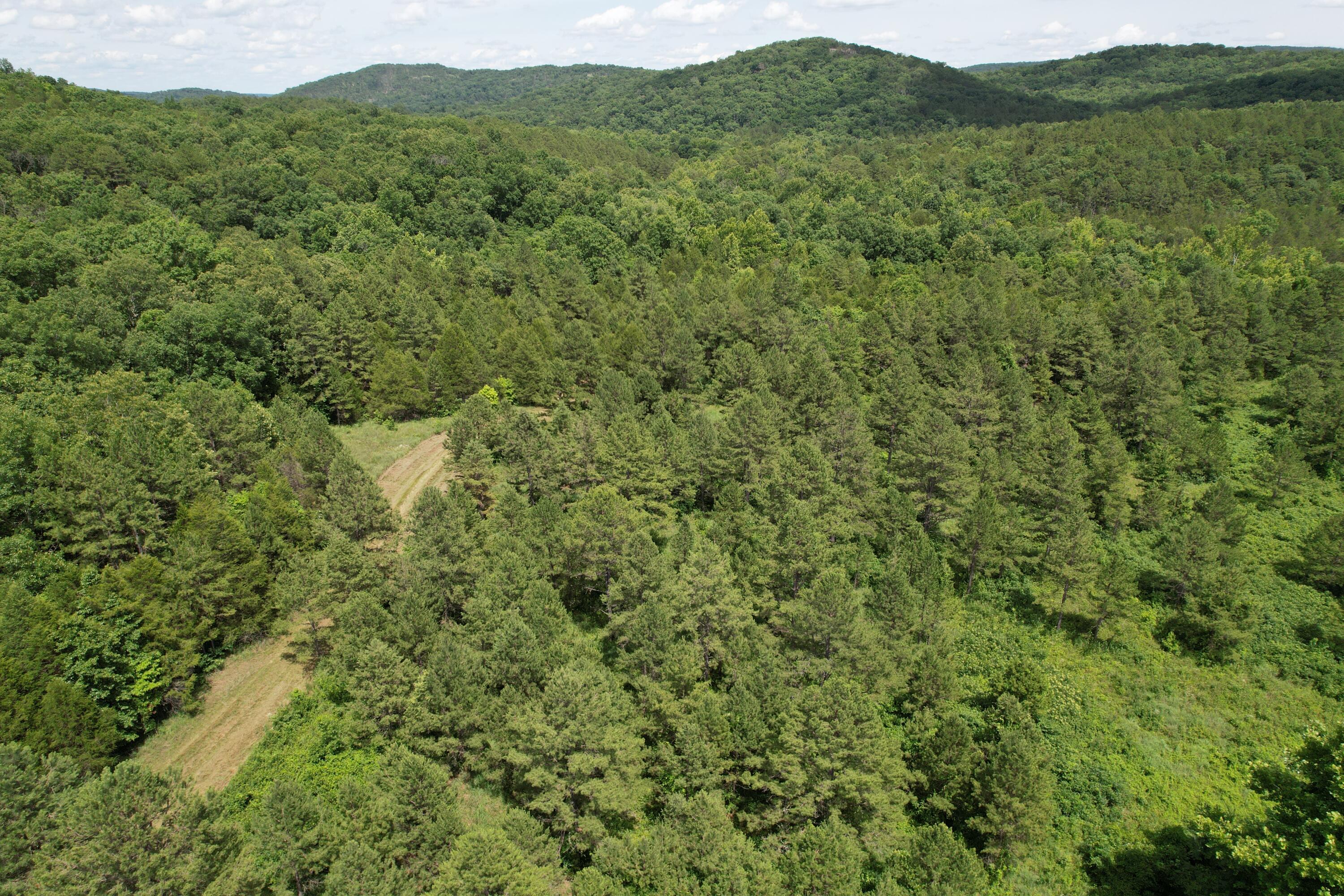 Photo 81 - Land for sale – 000  County Road 522   Winona, MO