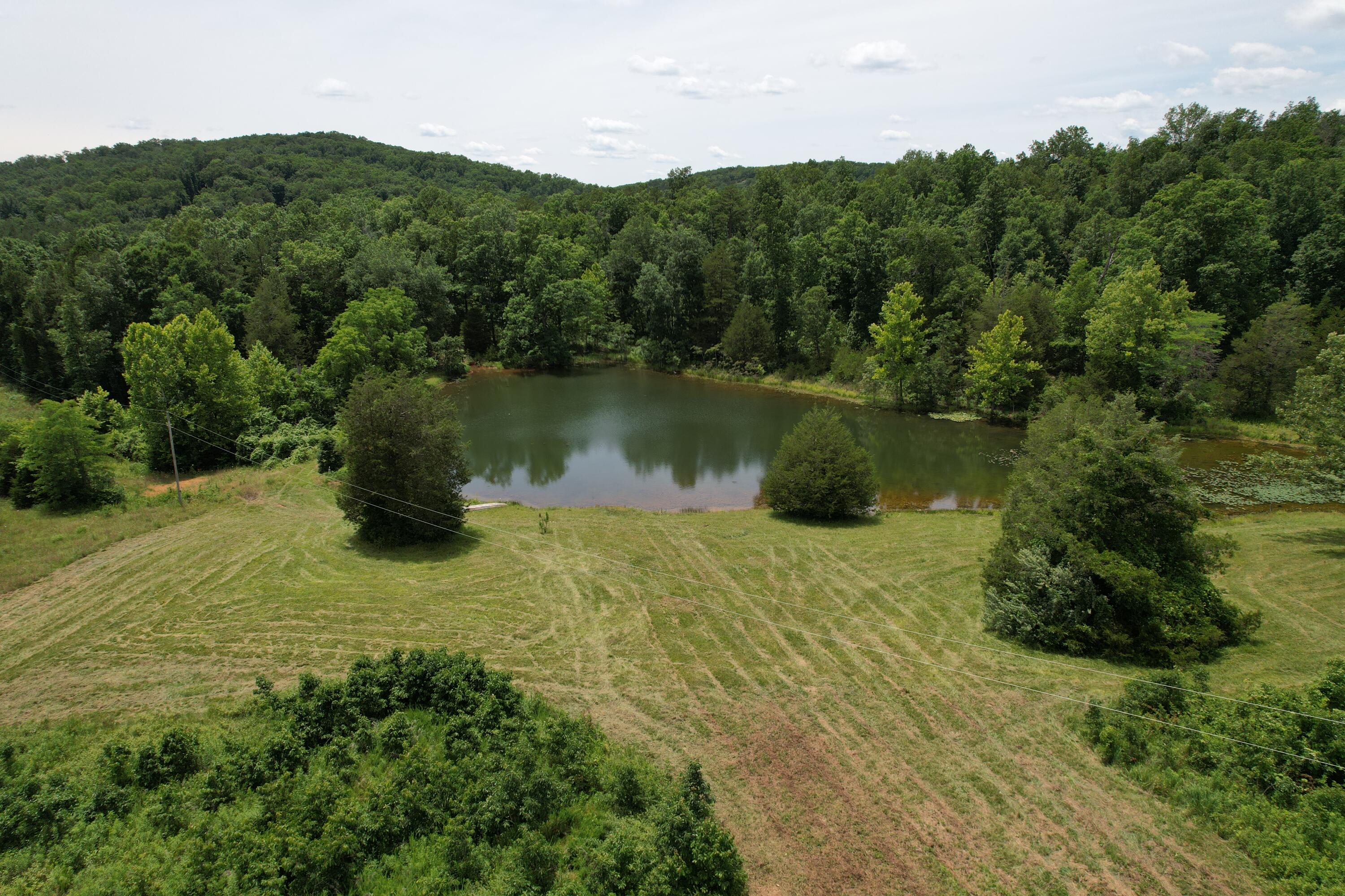 Photo 29 - Land for sale – 000  County Road 522   Winona, MO