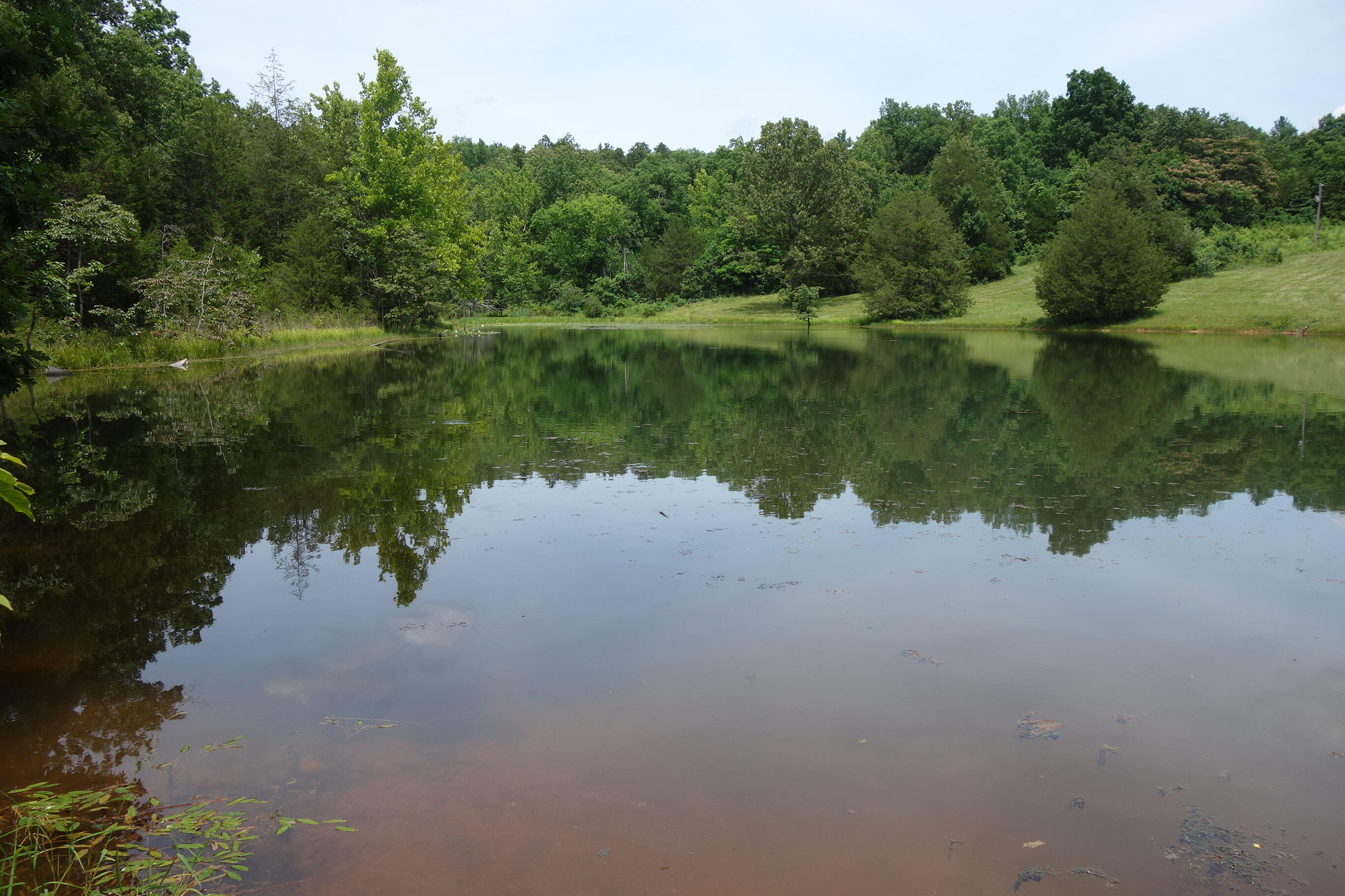 Photo 4 - Land for sale – 000  County Road 522   Winona, MO