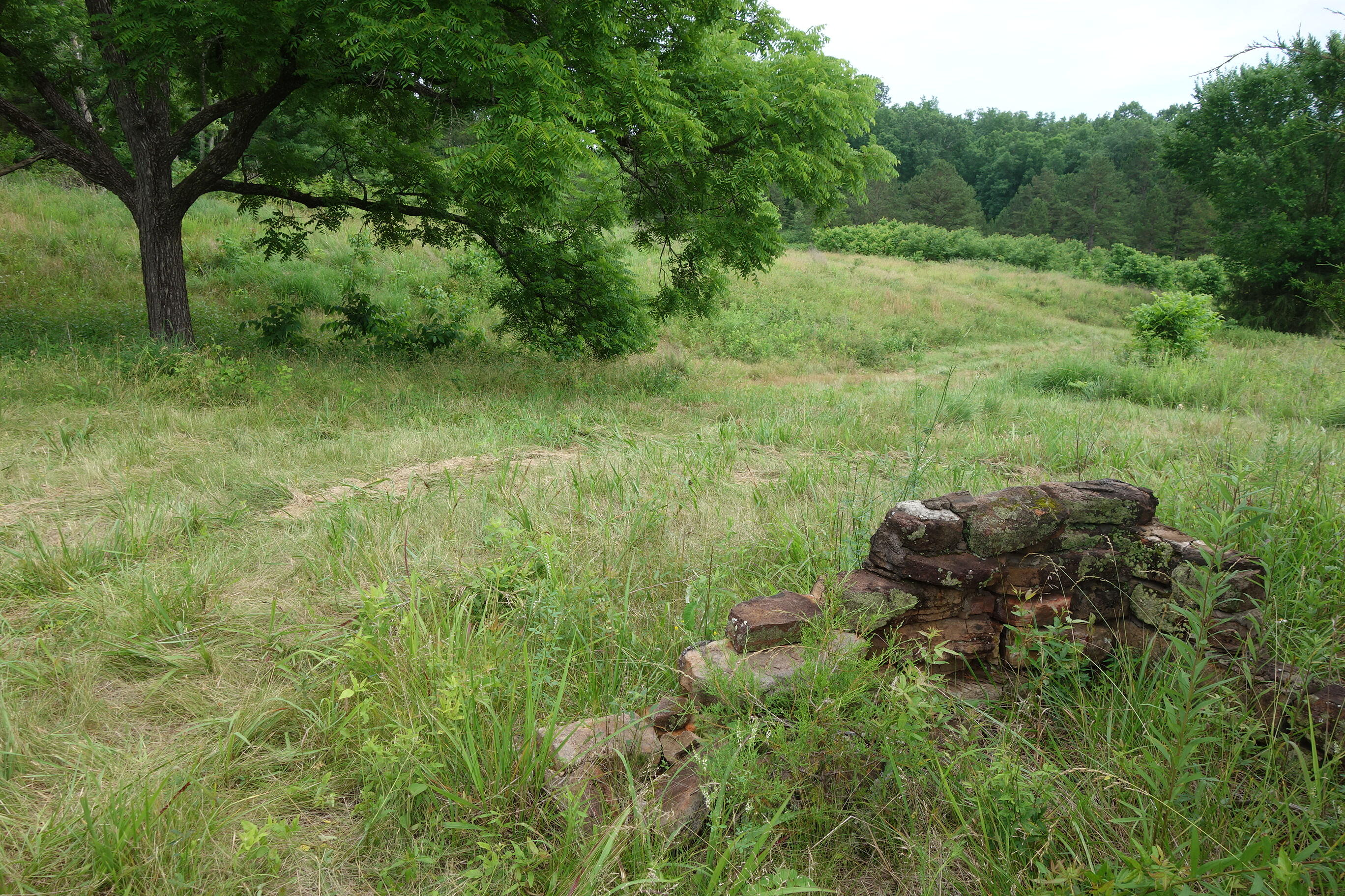 Photo 47 - Land for sale – 000  County Road 522   Winona, MO
