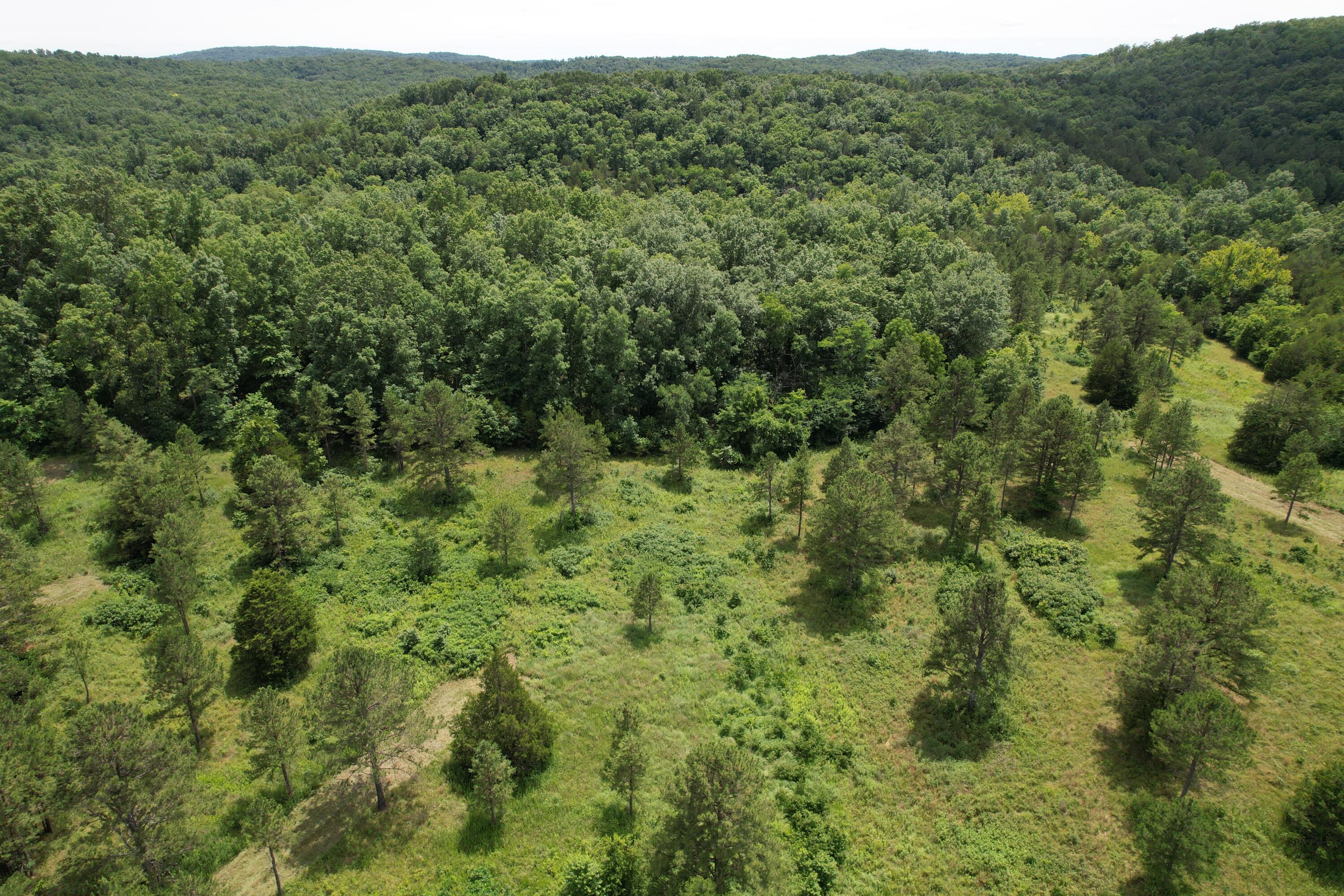 Photo 74 - Land for sale – 000  County Road 522   Winona, MO