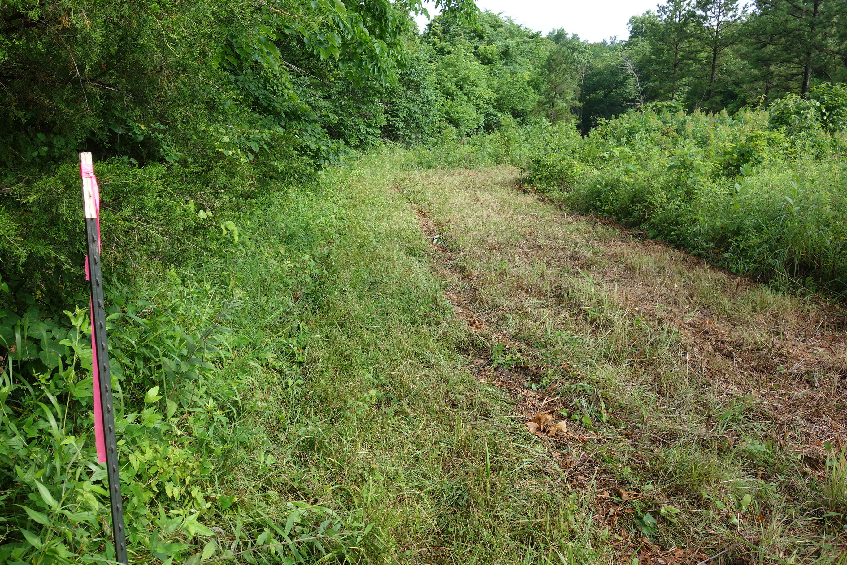 Photo 19 - Land for sale – 000  County Road 522   Winona, MO