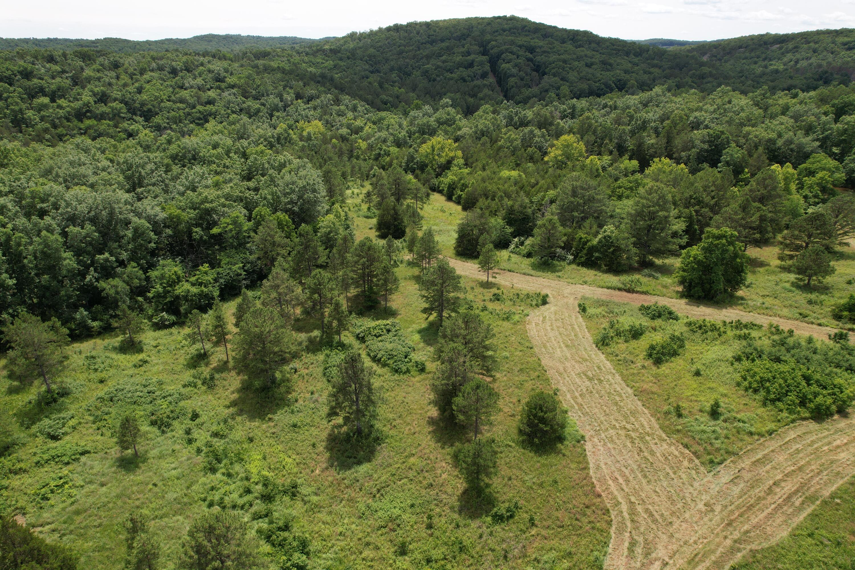 Photo 75 - Land for sale – 000  County Road 522   Winona, MO