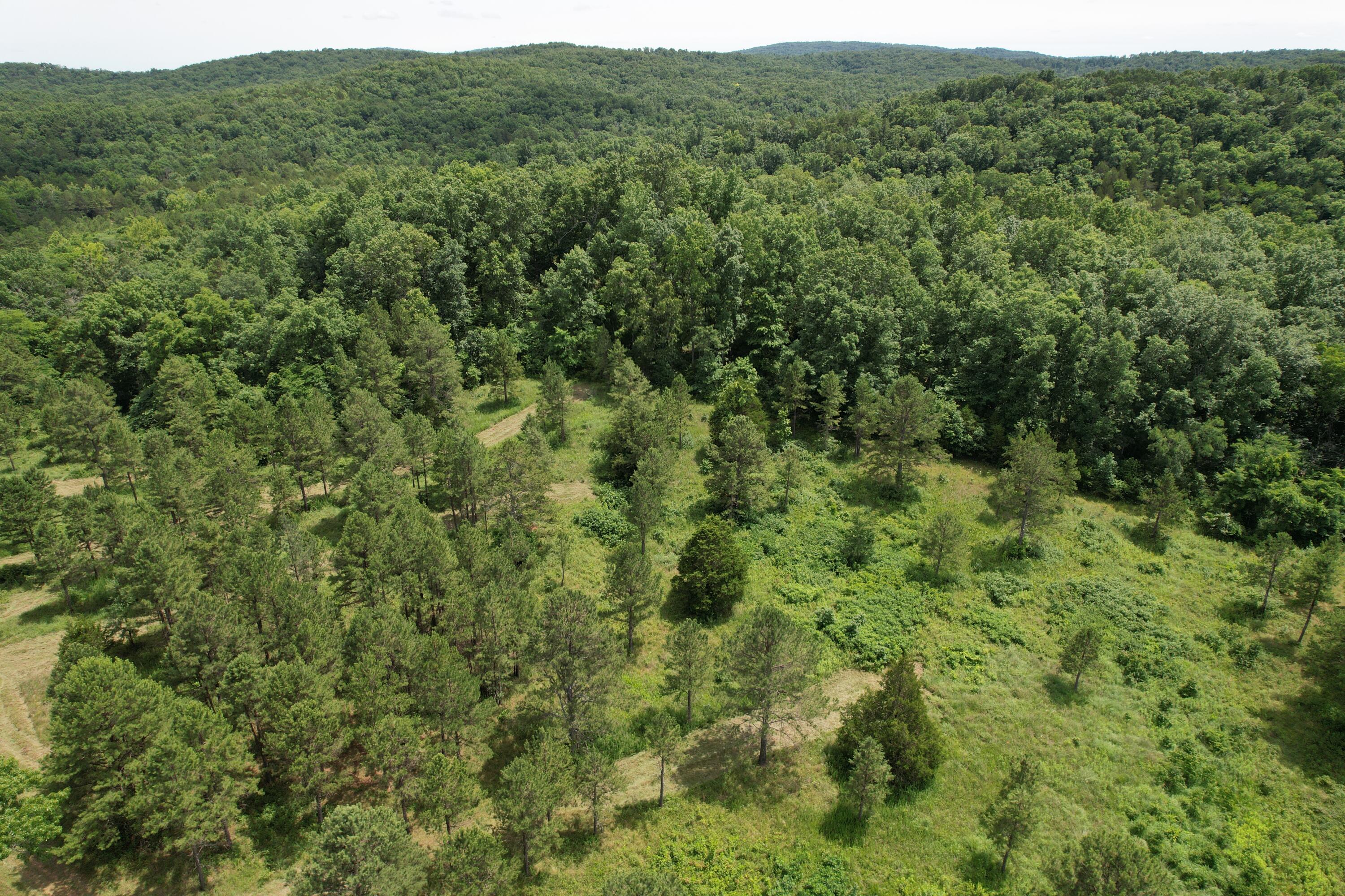 Photo 73 - Land for sale – 000  County Road 522   Winona, MO