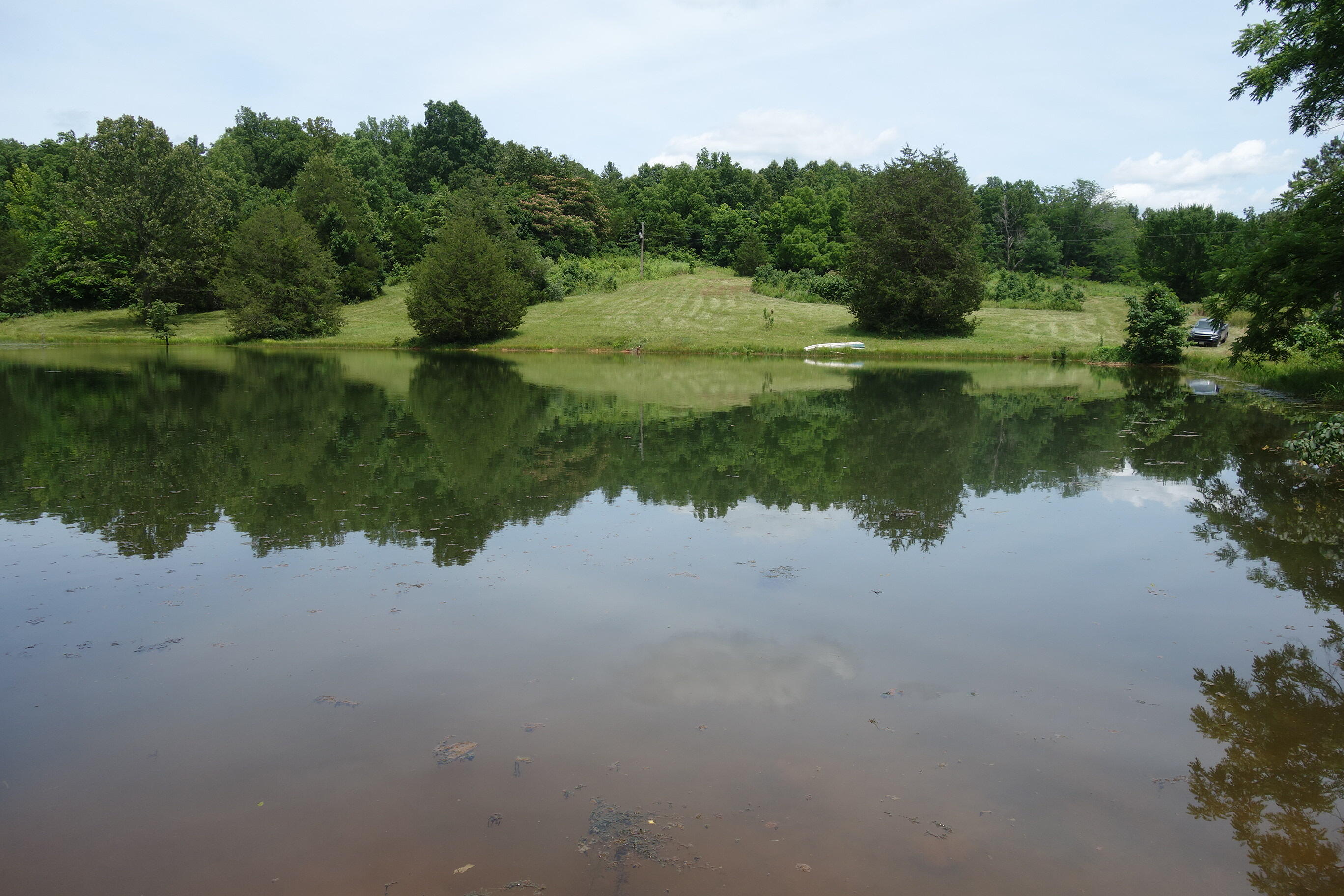 Photo 3 - Land for sale – 000  County Road 522   Winona, MO