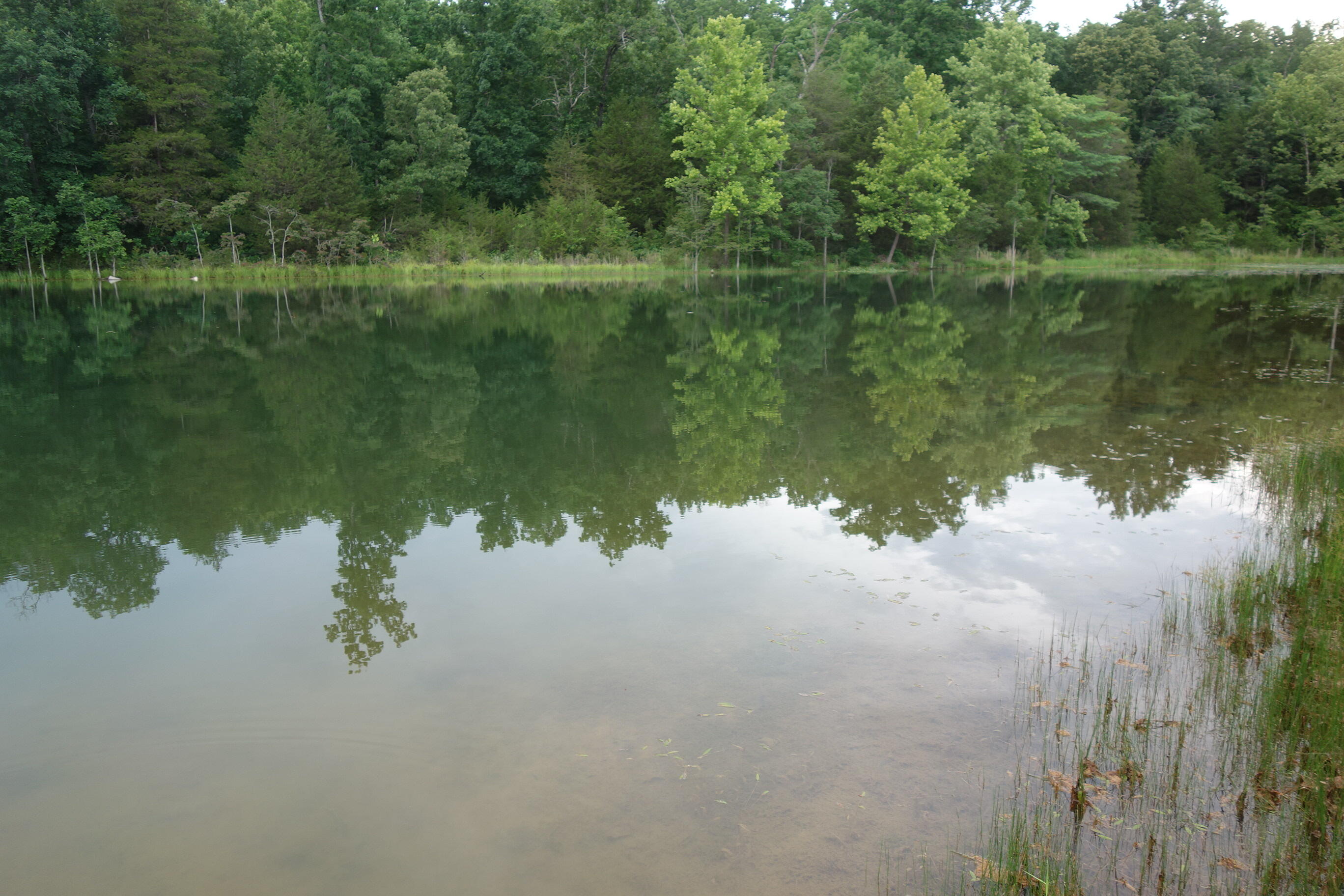 Photo 28 - Land for sale – 000  County Road 522   Winona, MO