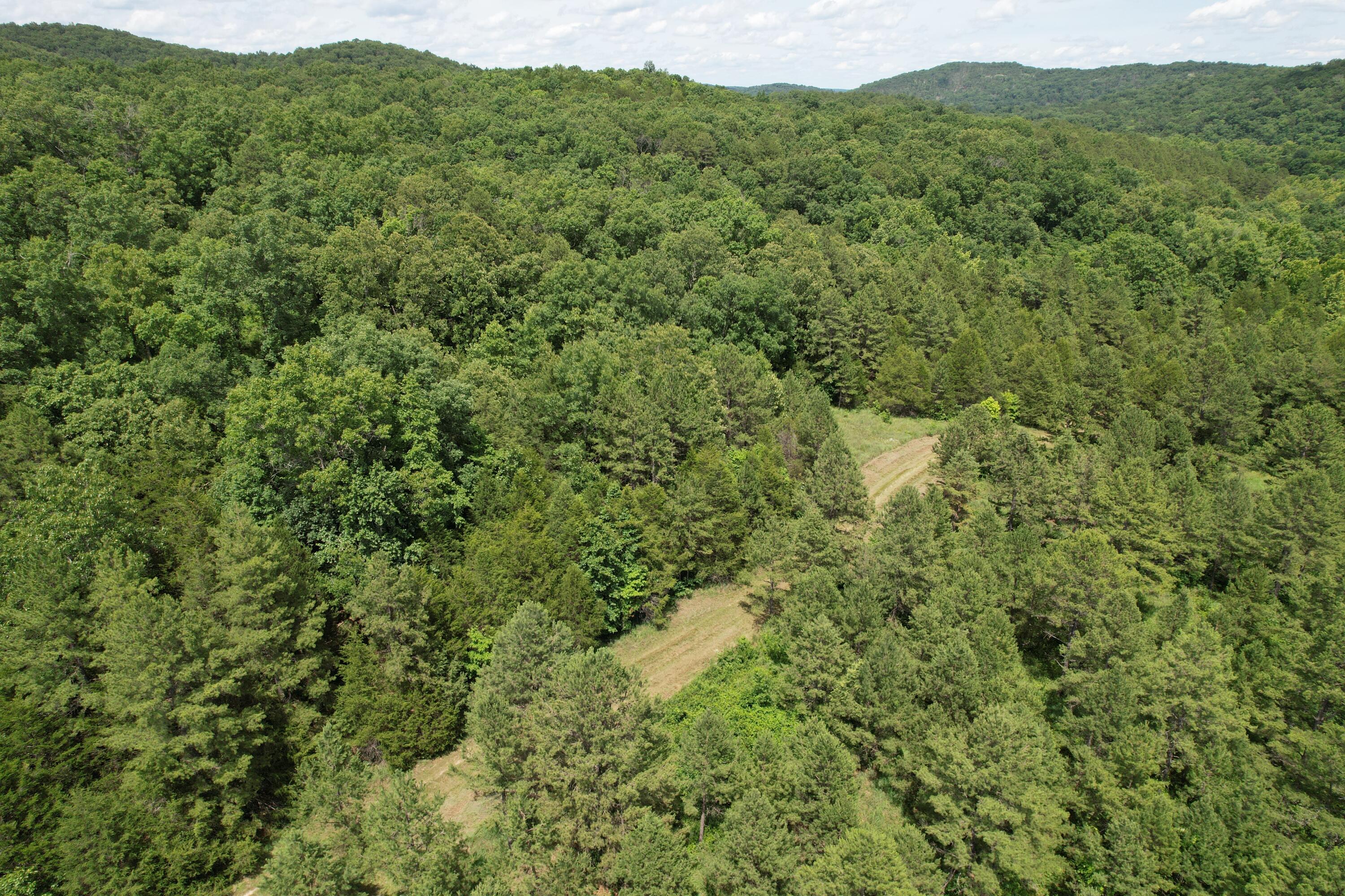 Photo 80 - Land for sale – 000  County Road 522   Winona, MO