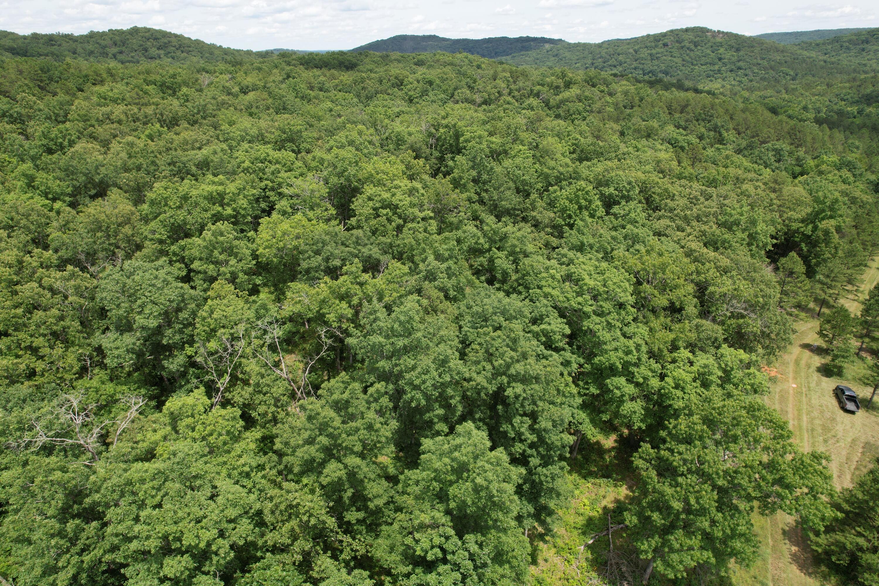 Photo 70 - Land for sale – 000  County Road 522   Winona, MO
