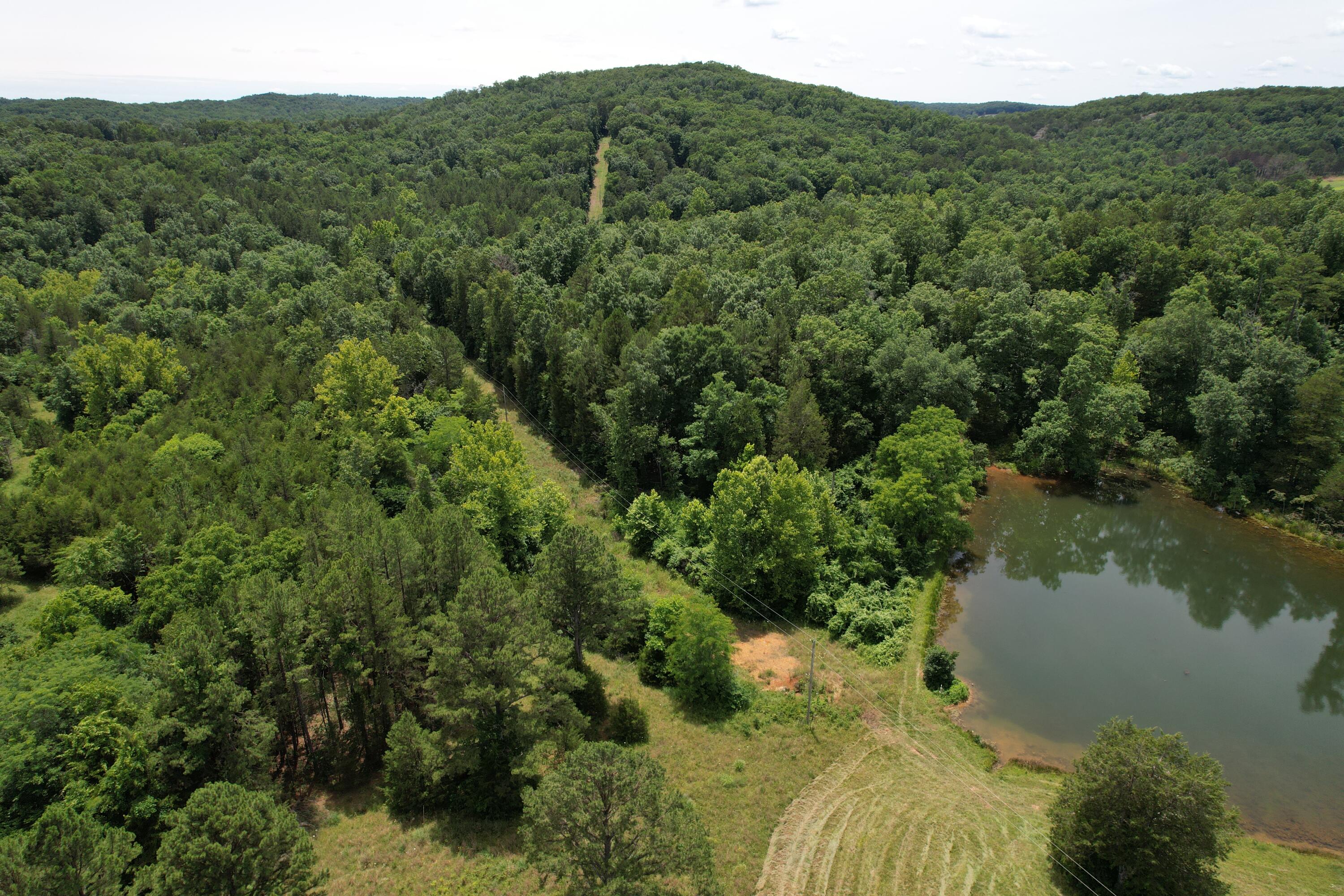 Photo 63 - Land for sale – 000  County Road 522   Winona, MO