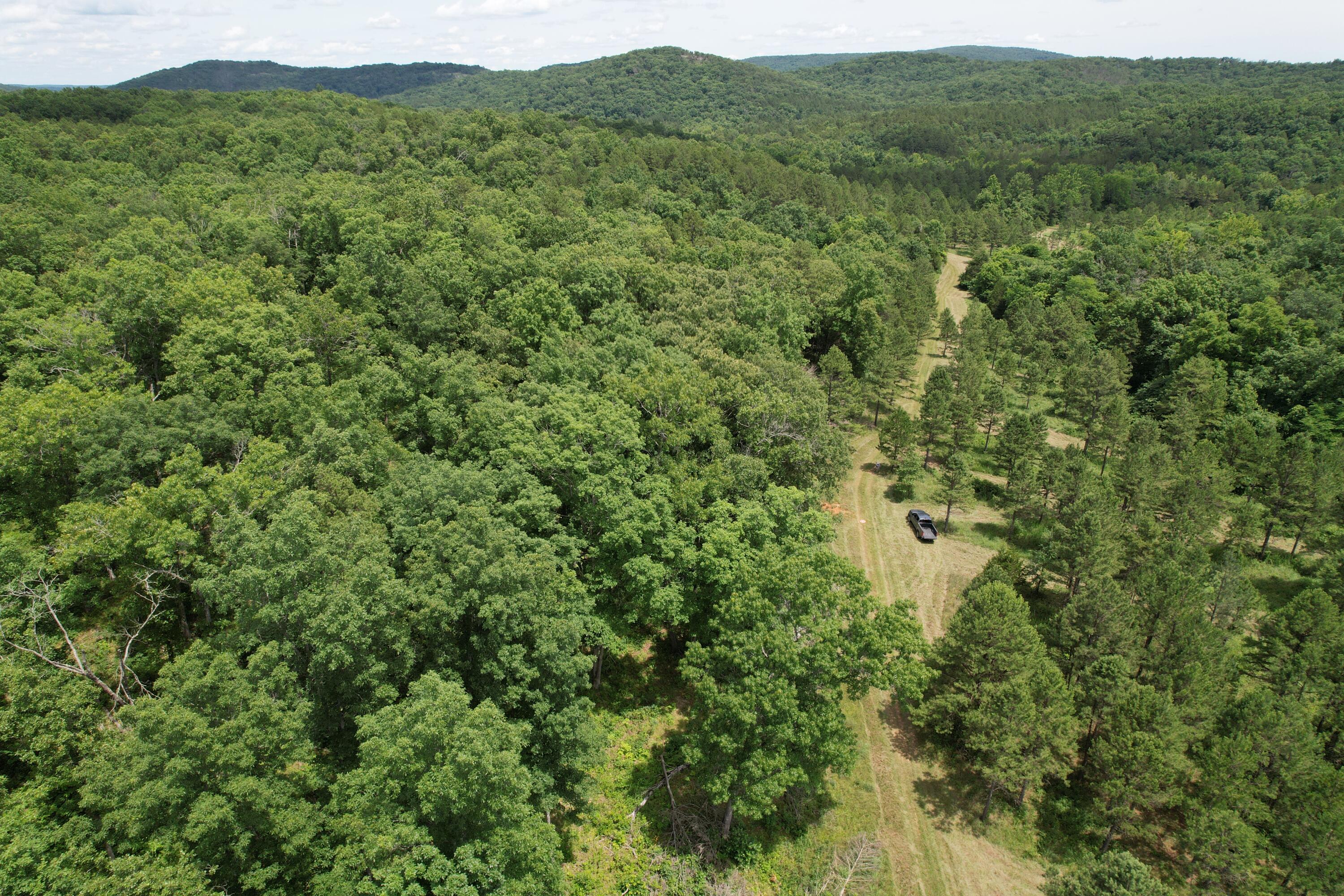 Photo 71 - Land for sale – 000  County Road 522   Winona, MO
