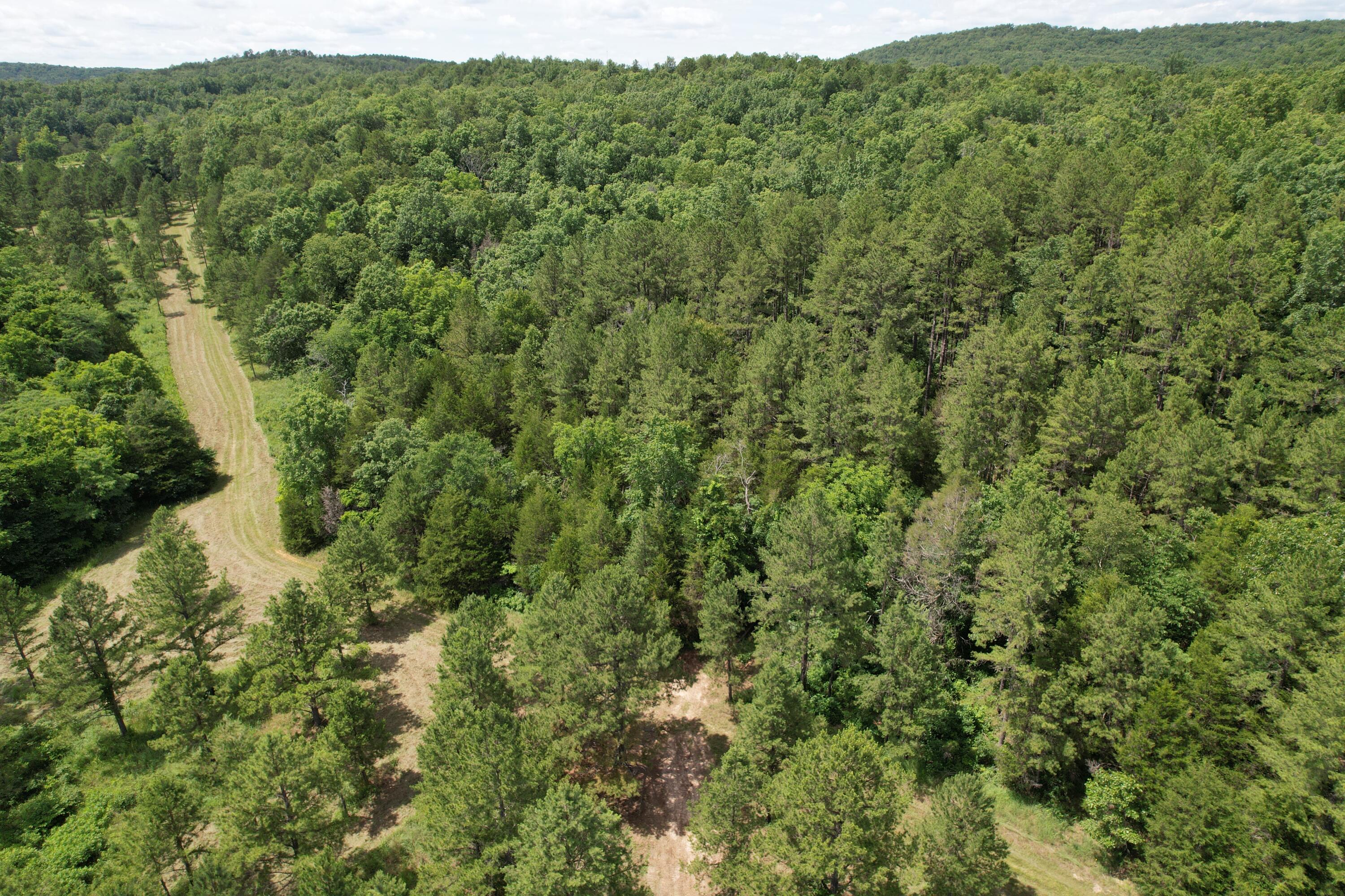 Photo 78 - Land for sale – 000  County Road 522   Winona, MO