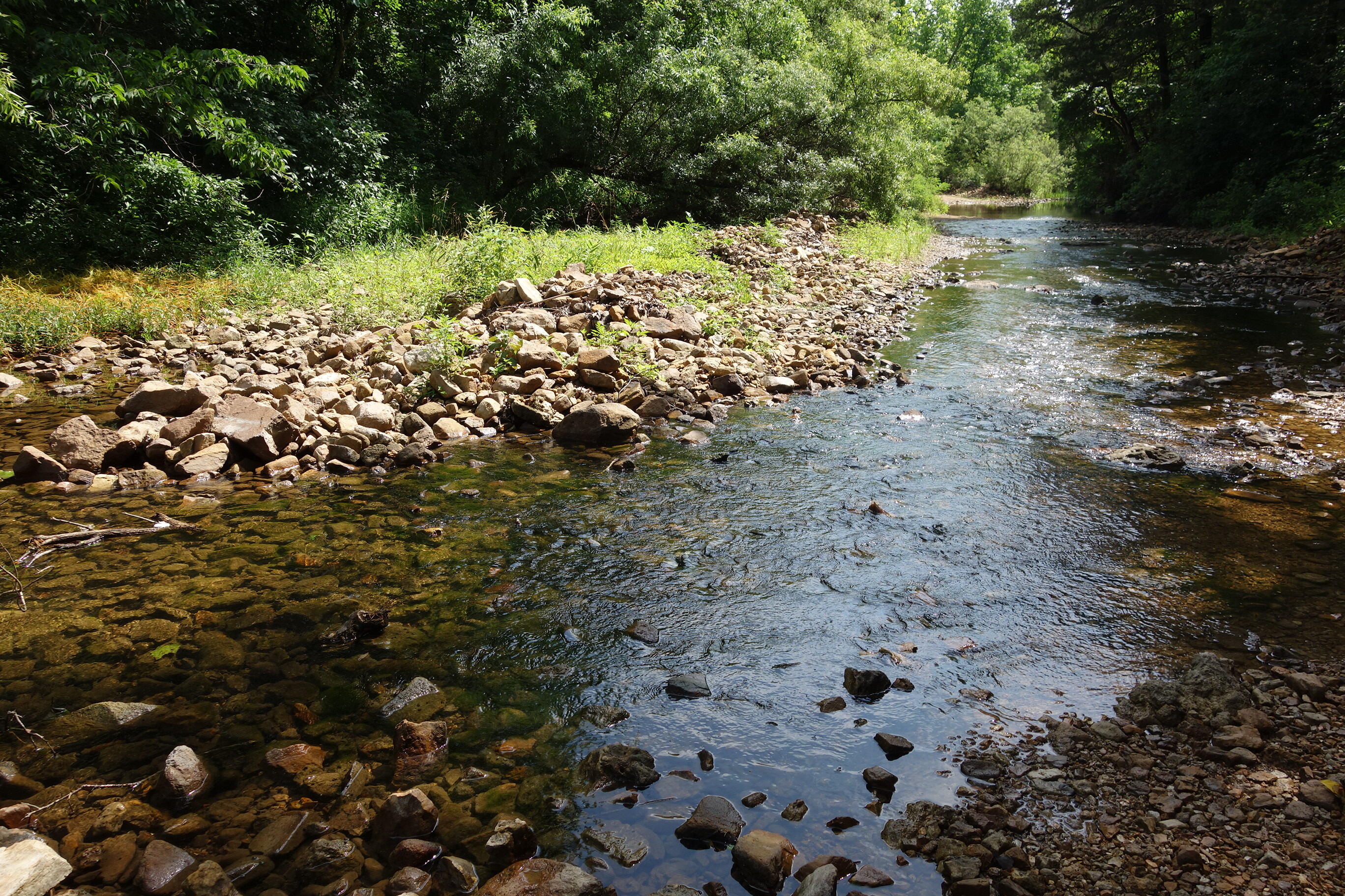 Photo 10 - Land for sale – 000  County Road 522   Winona, MO