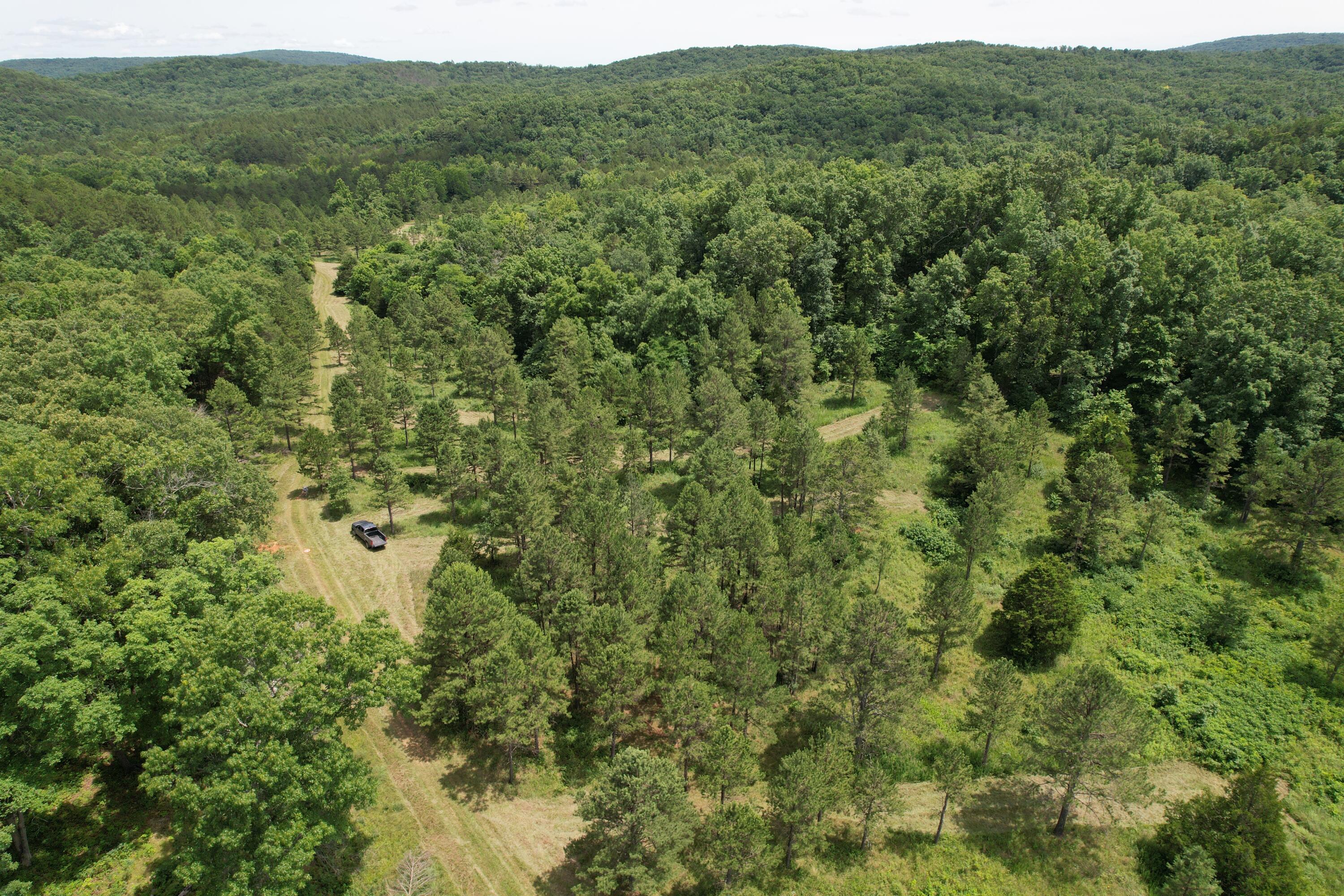 Photo 72 - Land for sale – 000  County Road 522   Winona, MO