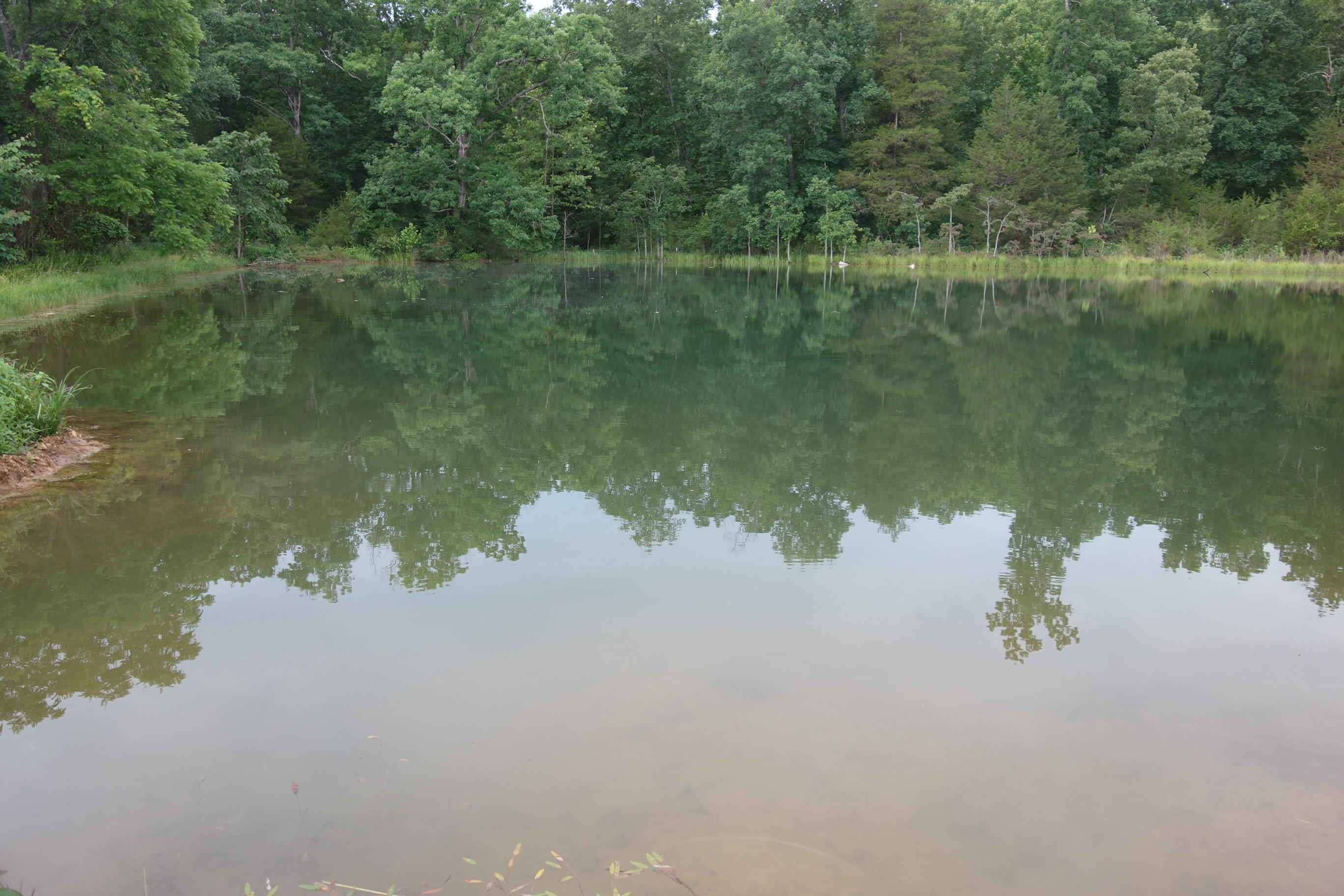 Photo 27 - Land for sale – 000  County Road 522   Winona, MO