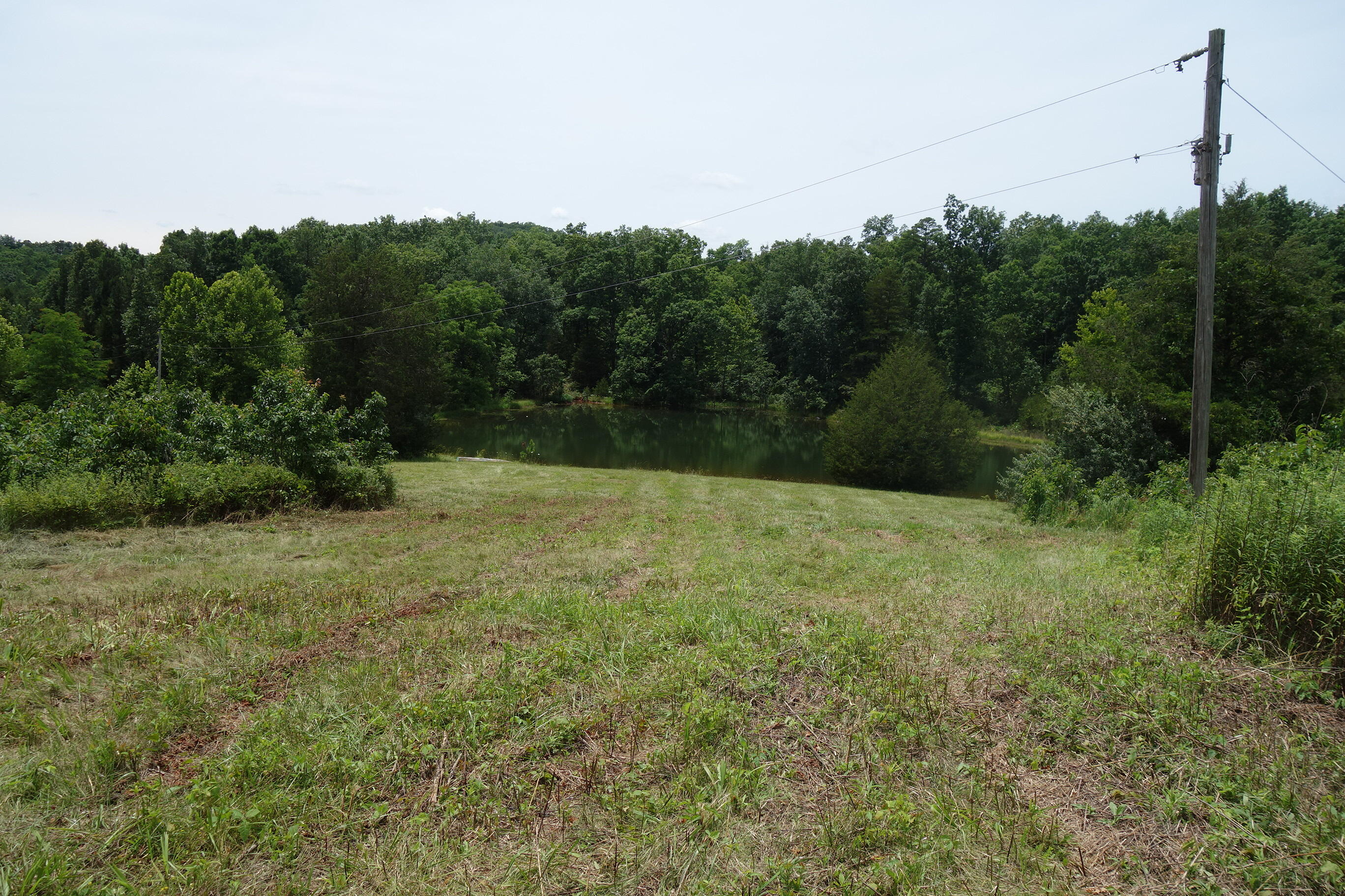 Photo 46 - Land for sale – 000  County Road 522   Winona, MO