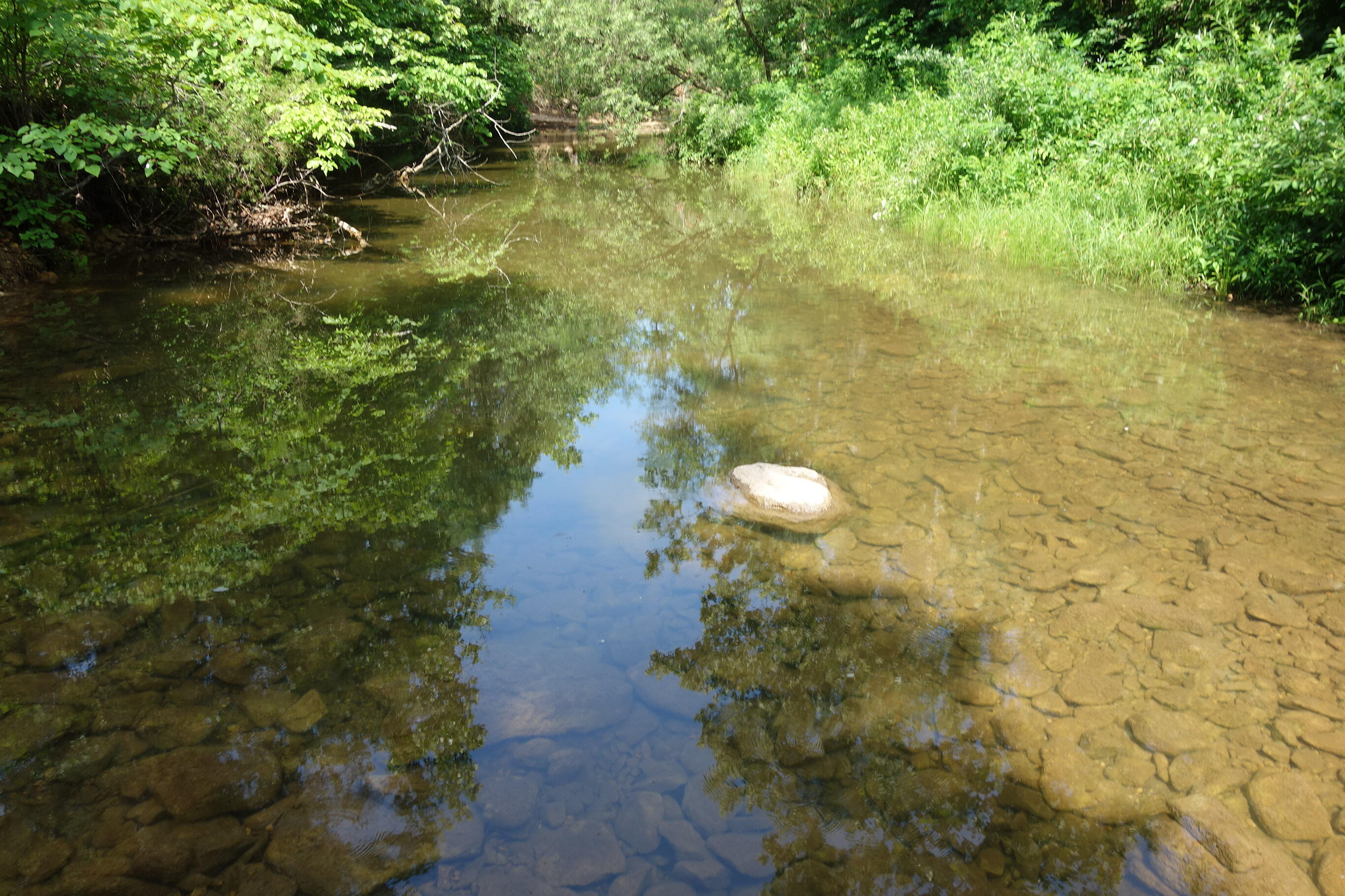 Photo 9 - Land for sale – 000  County Road 522   Winona, MO