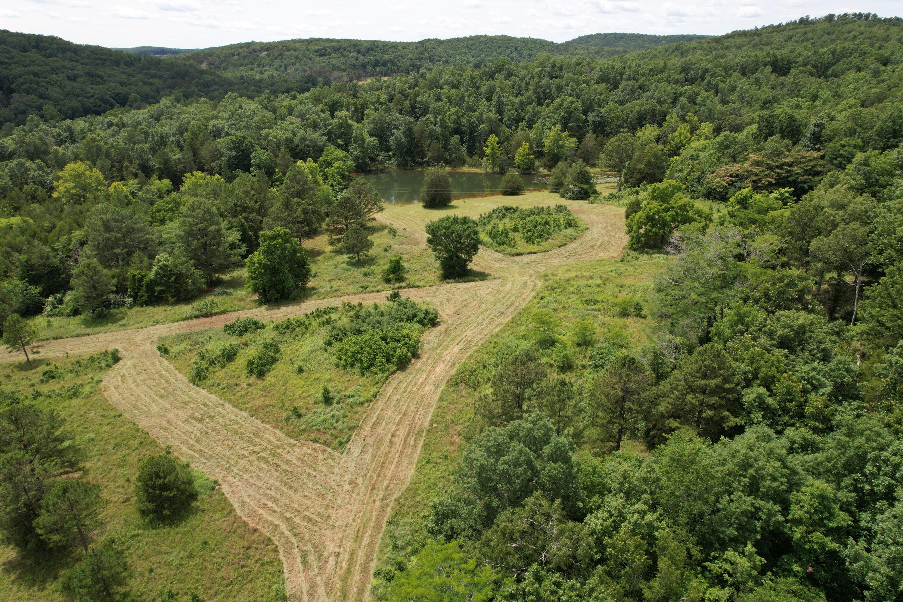 Photo 65 - Land for sale – 000  County Road 522   Winona, MO