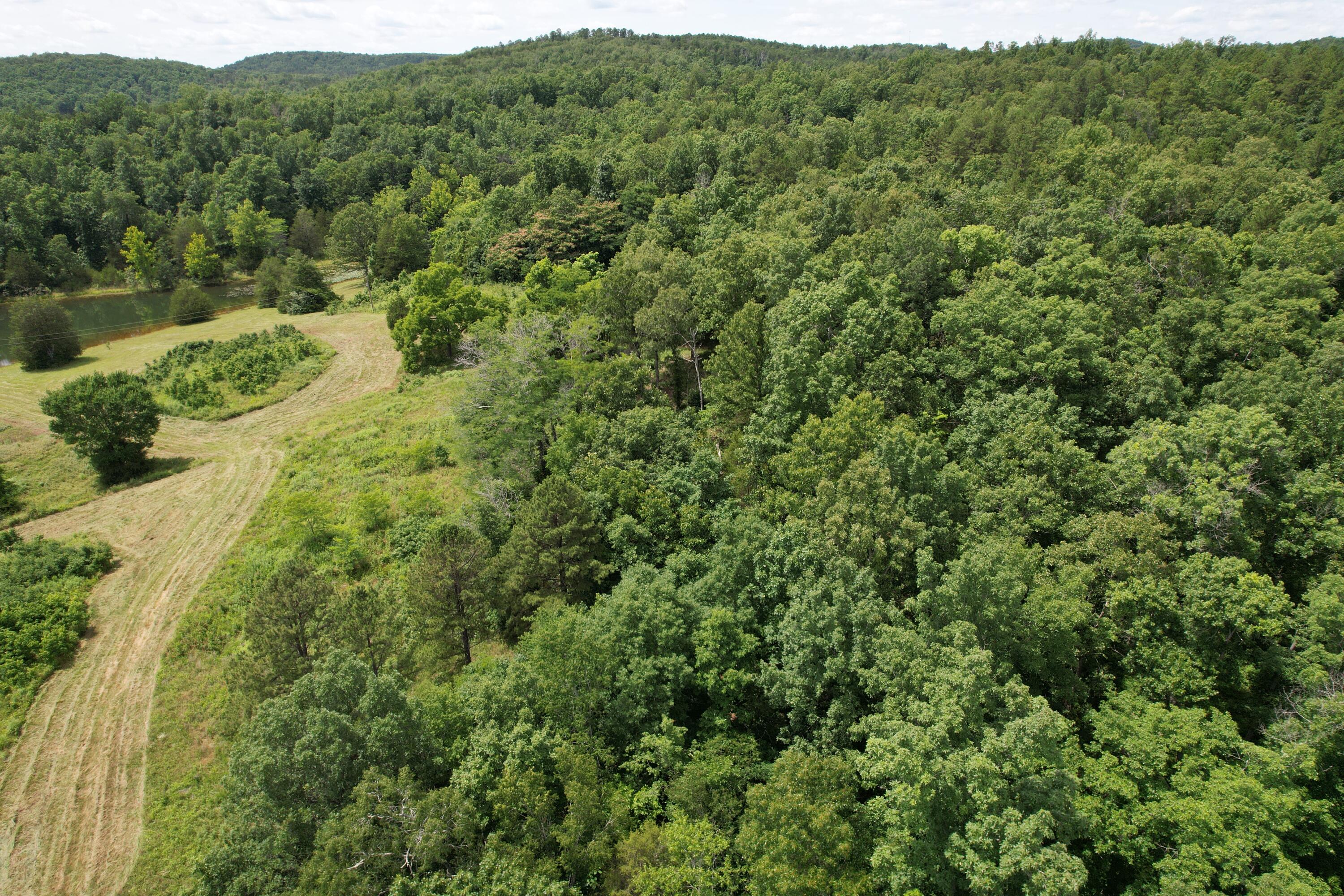 Photo 66 - Land for sale – 000  County Road 522   Winona, MO