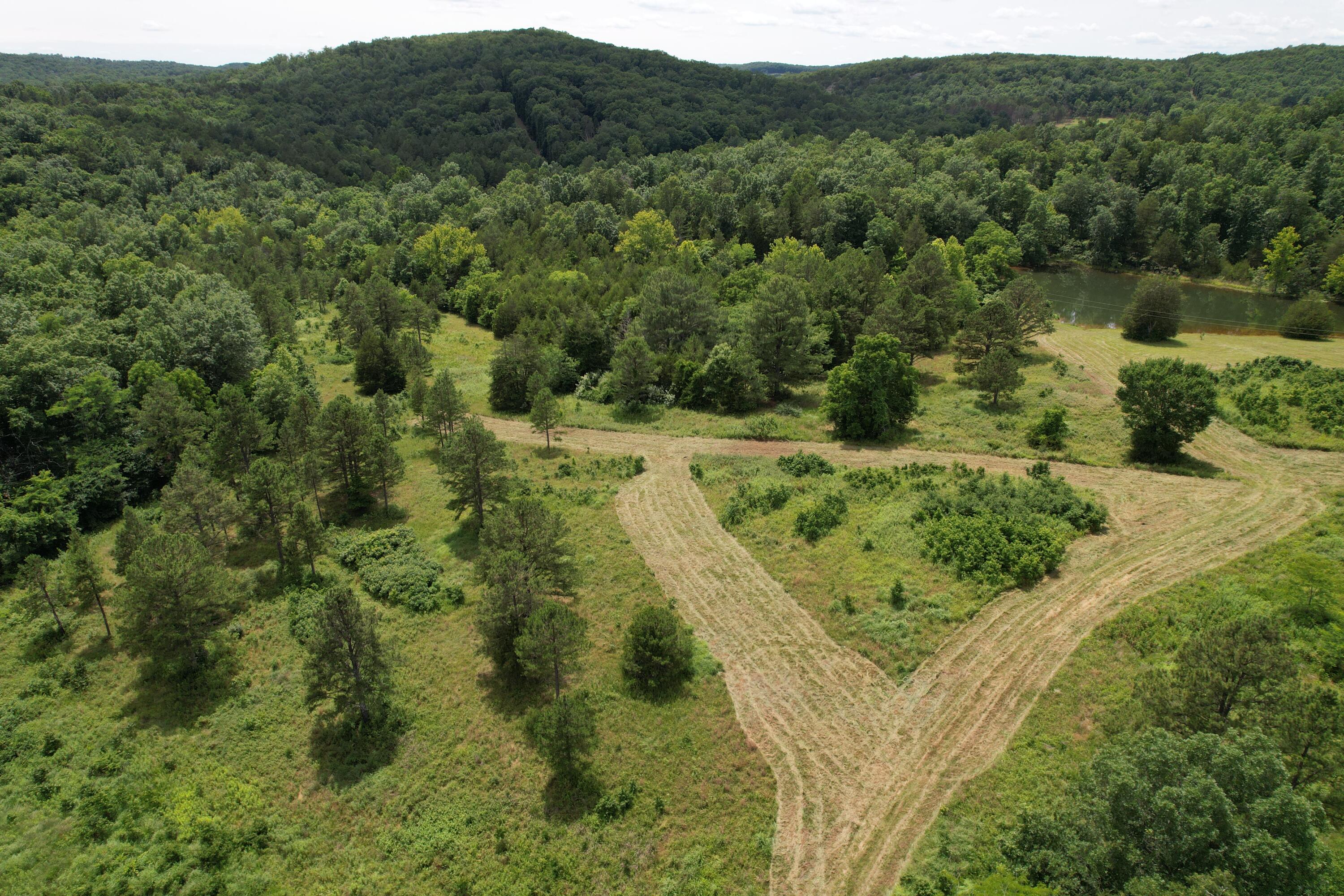 Photo 76 - Land for sale – 000  County Road 522   Winona, MO