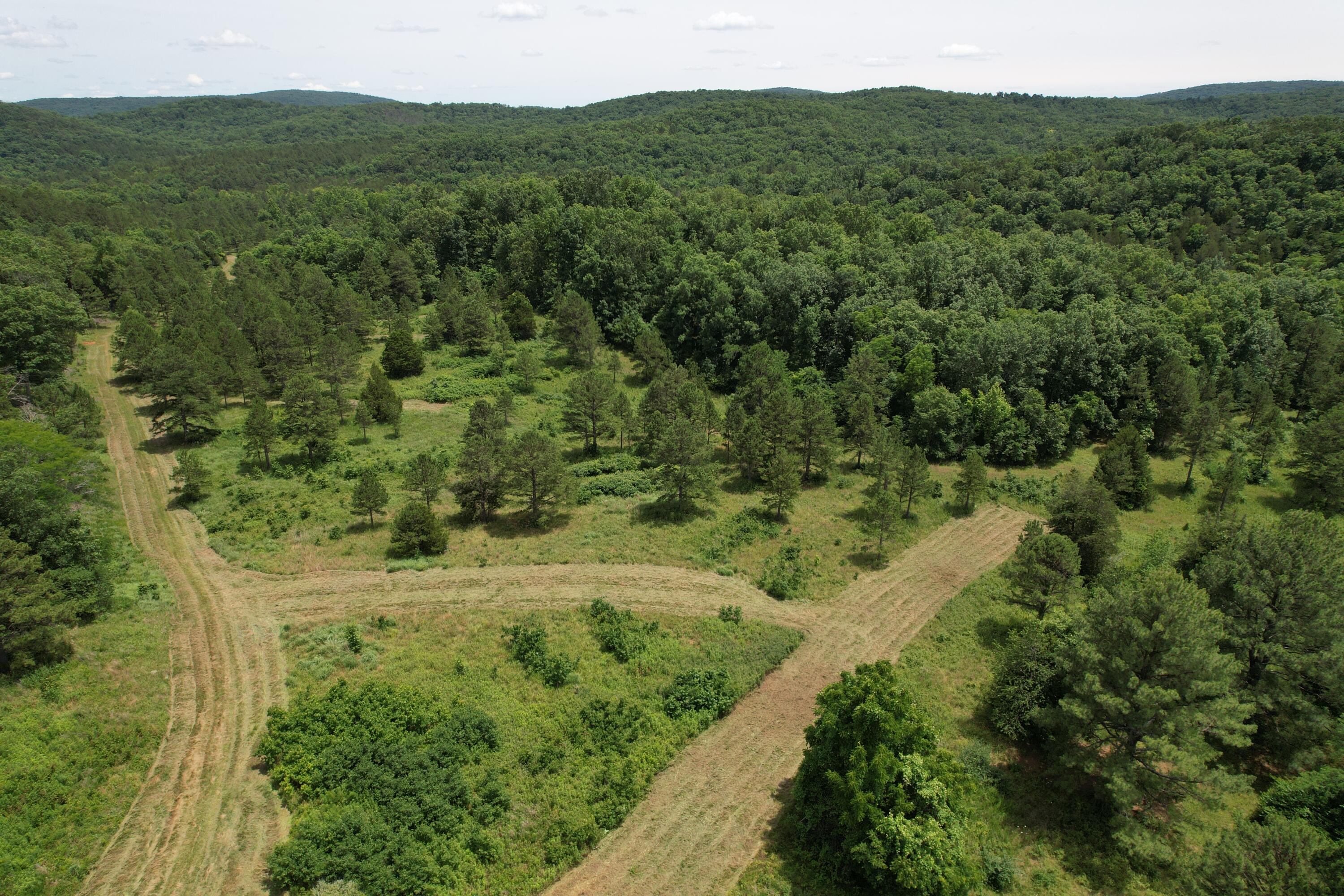 Photo 61 - Land for sale – 000  County Road 522   Winona, MO