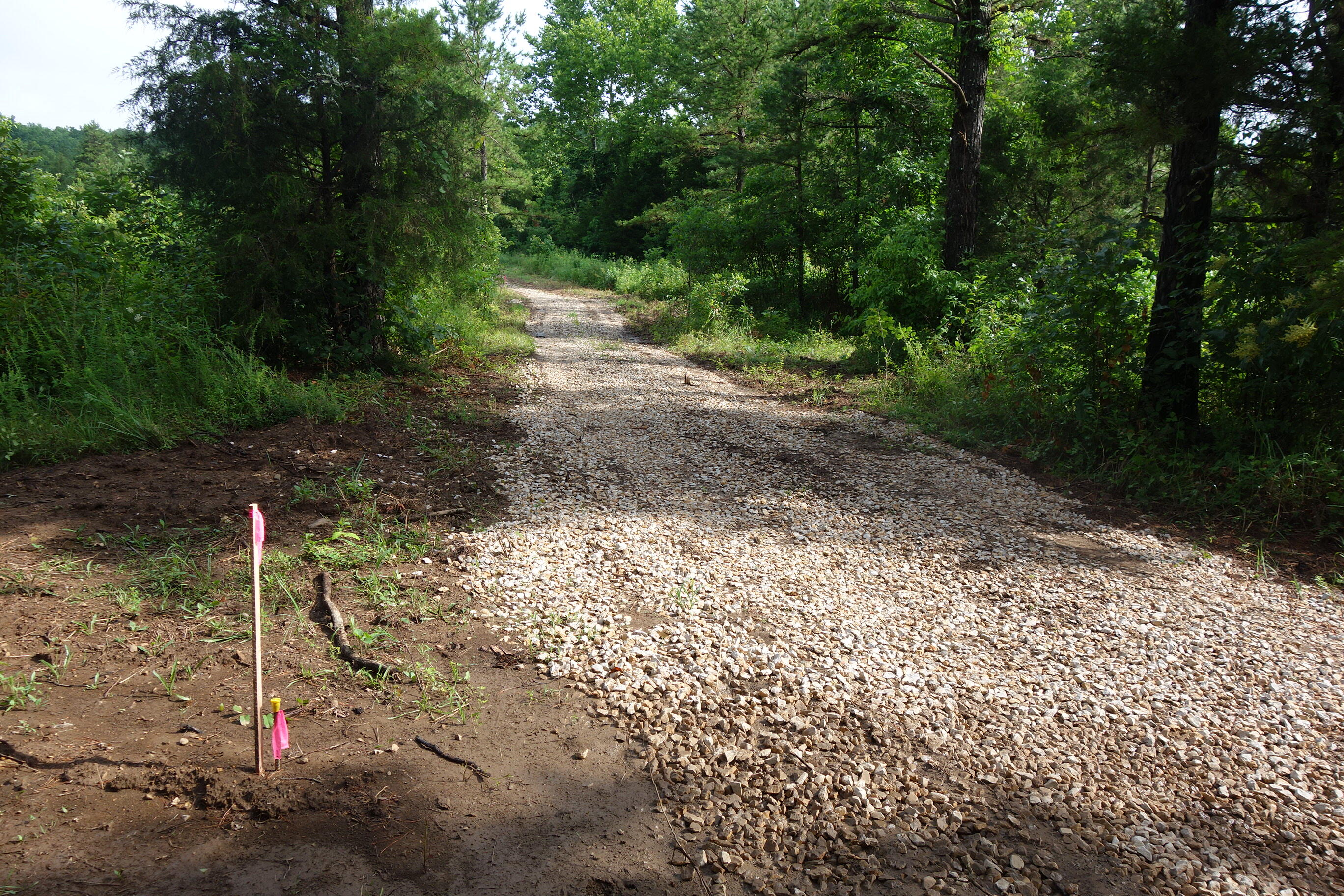 Photo 12 - Land for sale – 000  County Road 522   Winona, MO
