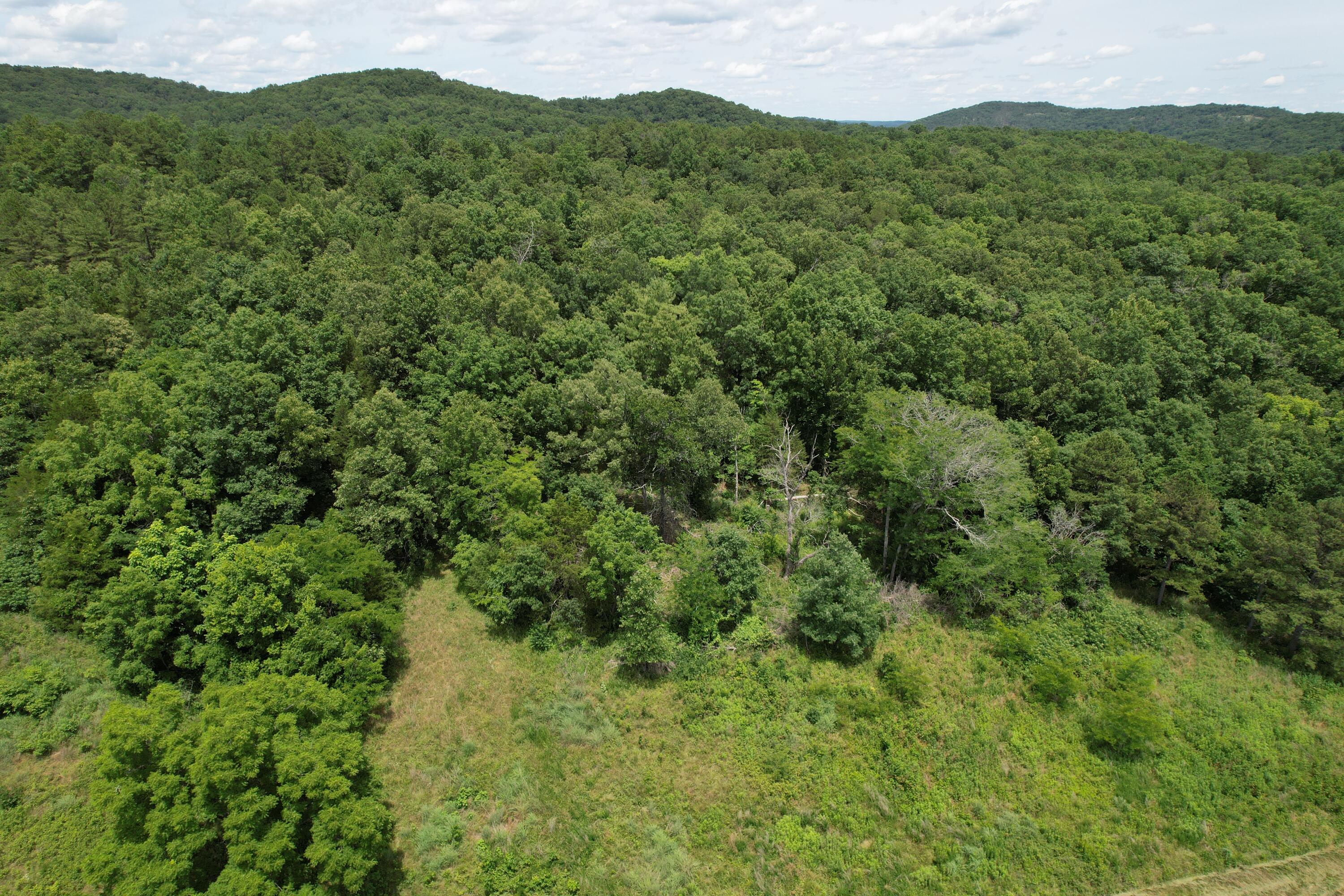 Photo 45 - Land for sale – 000  County Road 522   Winona, MO