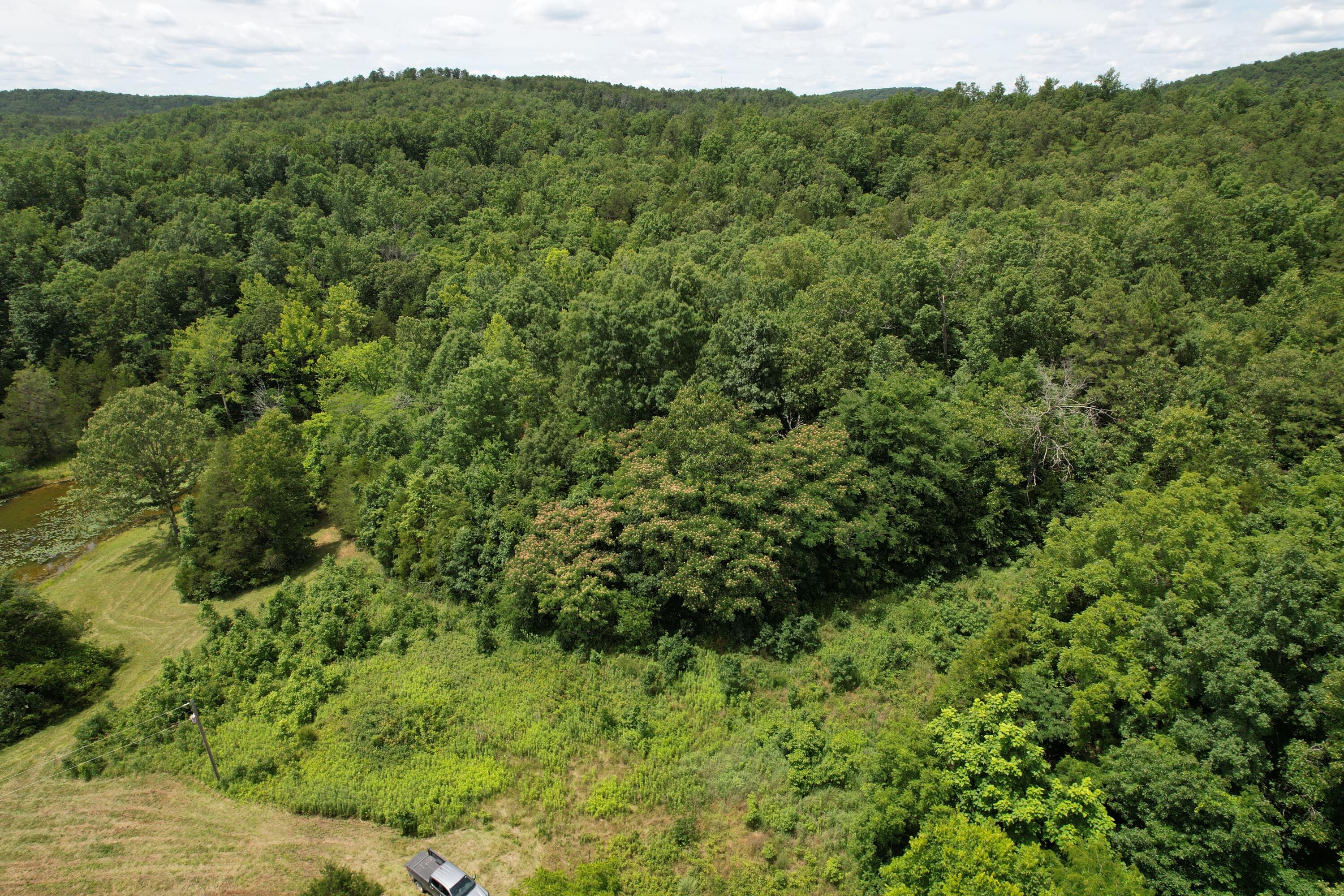 Photo 41 - Land for sale – 000  County Road 522   Winona, MO