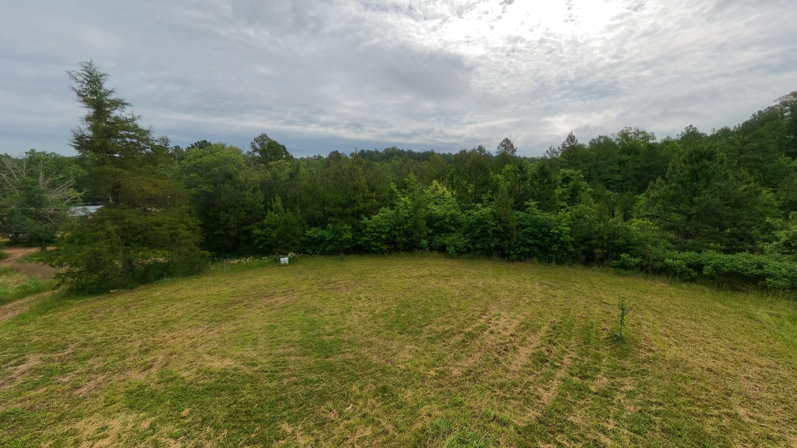 Photo 37 - Residential for sale – 5413  County Road 579   Winona, MO