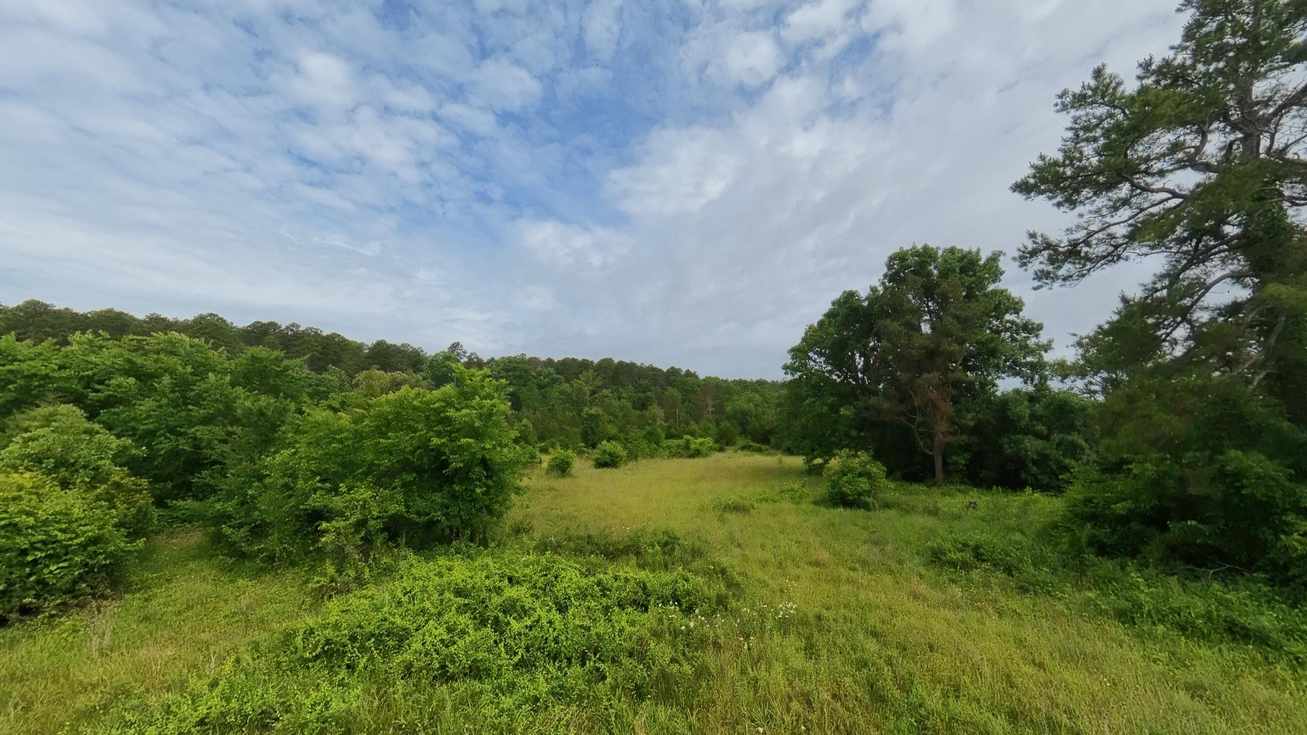 Photo 49 - Residential for sale – 5413  County Road 579   Winona, MO