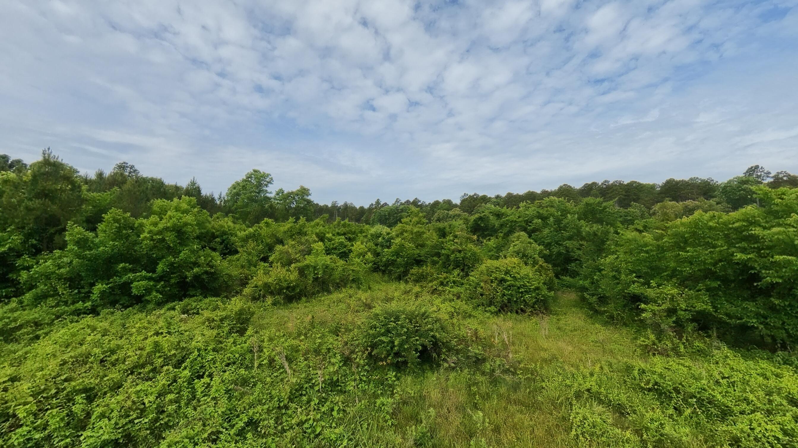 Photo 48 - Residential for sale – 5413  County Road 579   Winona, MO
