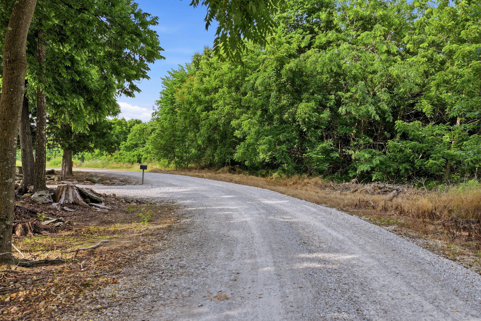 Photo 14 - Land for sale – 000 S 96th Road  Bolivar, MO