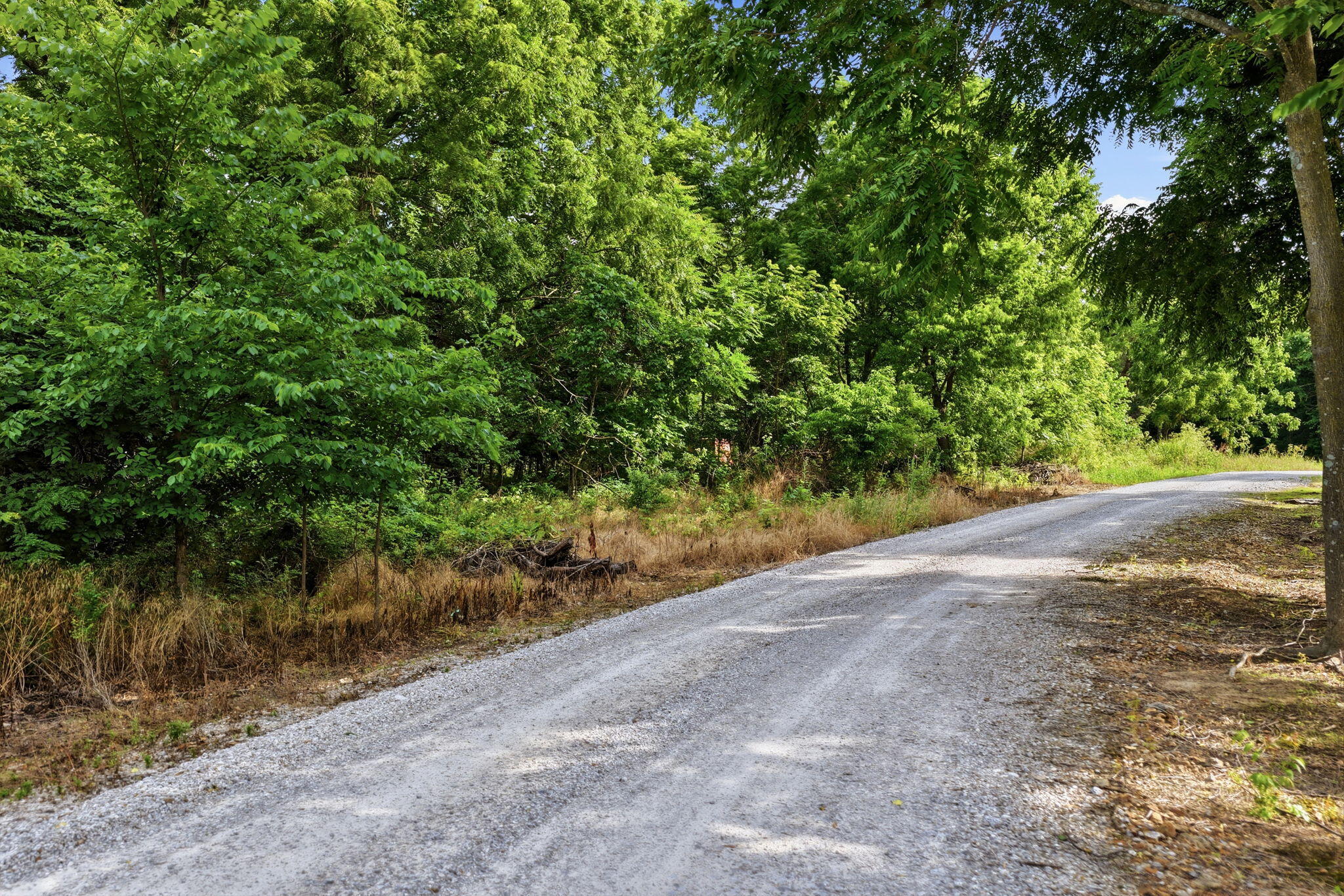 Photo 11 - Land for sale – 000 S 96th Road  Bolivar, MO