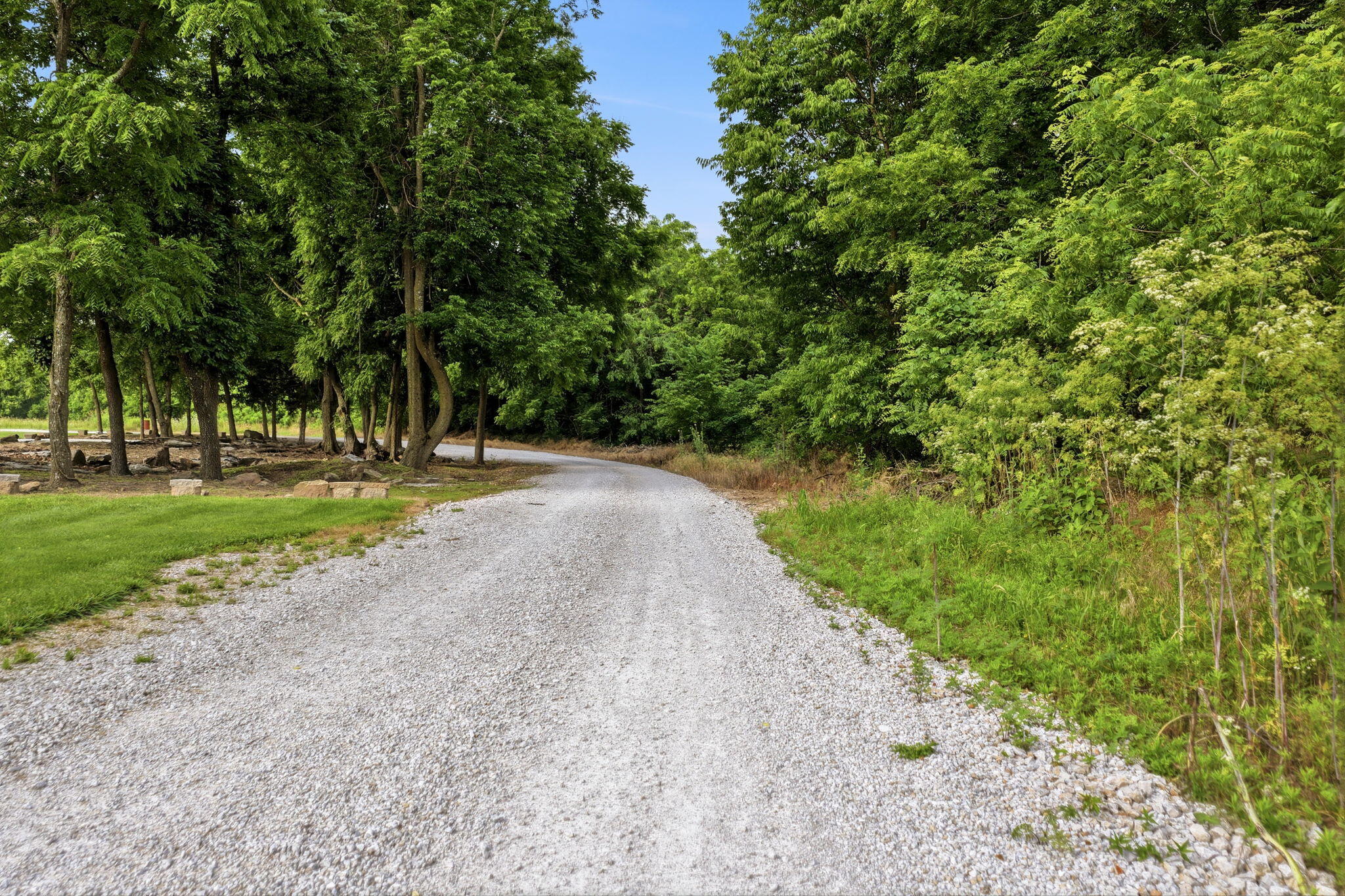 Photo 10 - Land for sale – 000 S 96th Road  Bolivar, MO