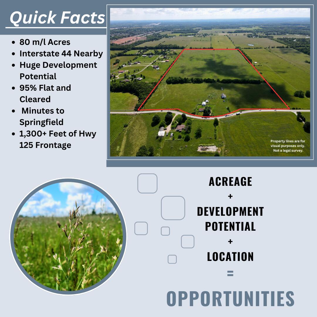 Land for sale – 3246 N State Highway 125   Strafford, MO