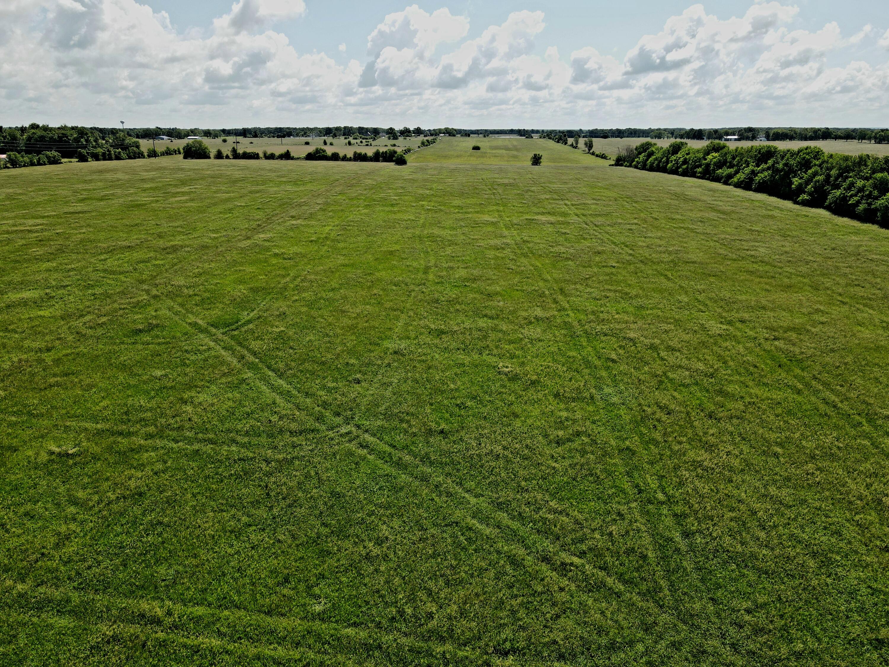 Photo 14 - Land for sale – 3246 N State Highway 125   Strafford, MO