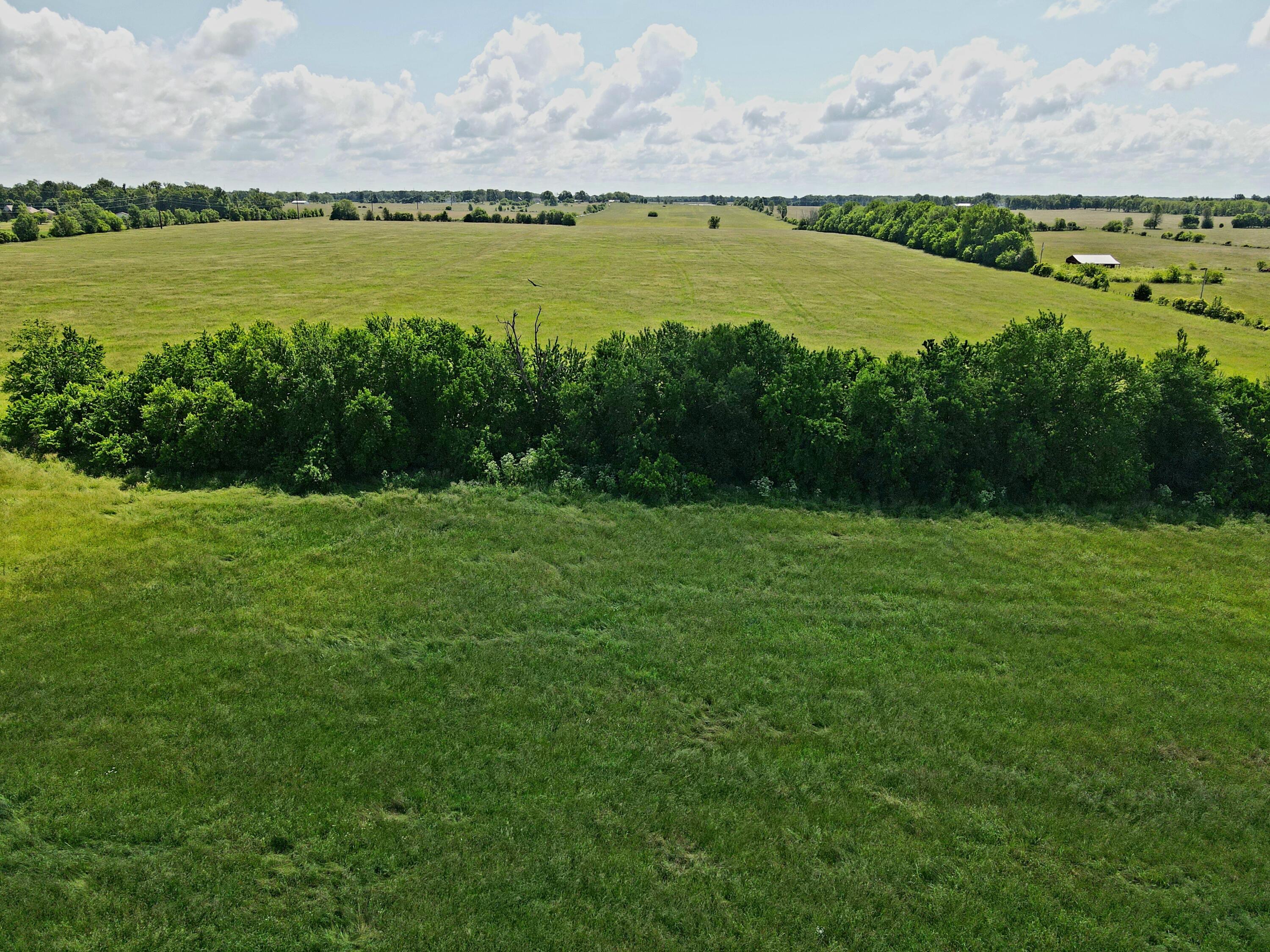 Photo 13 - Land for sale – 3246 N State Highway 125   Strafford, MO