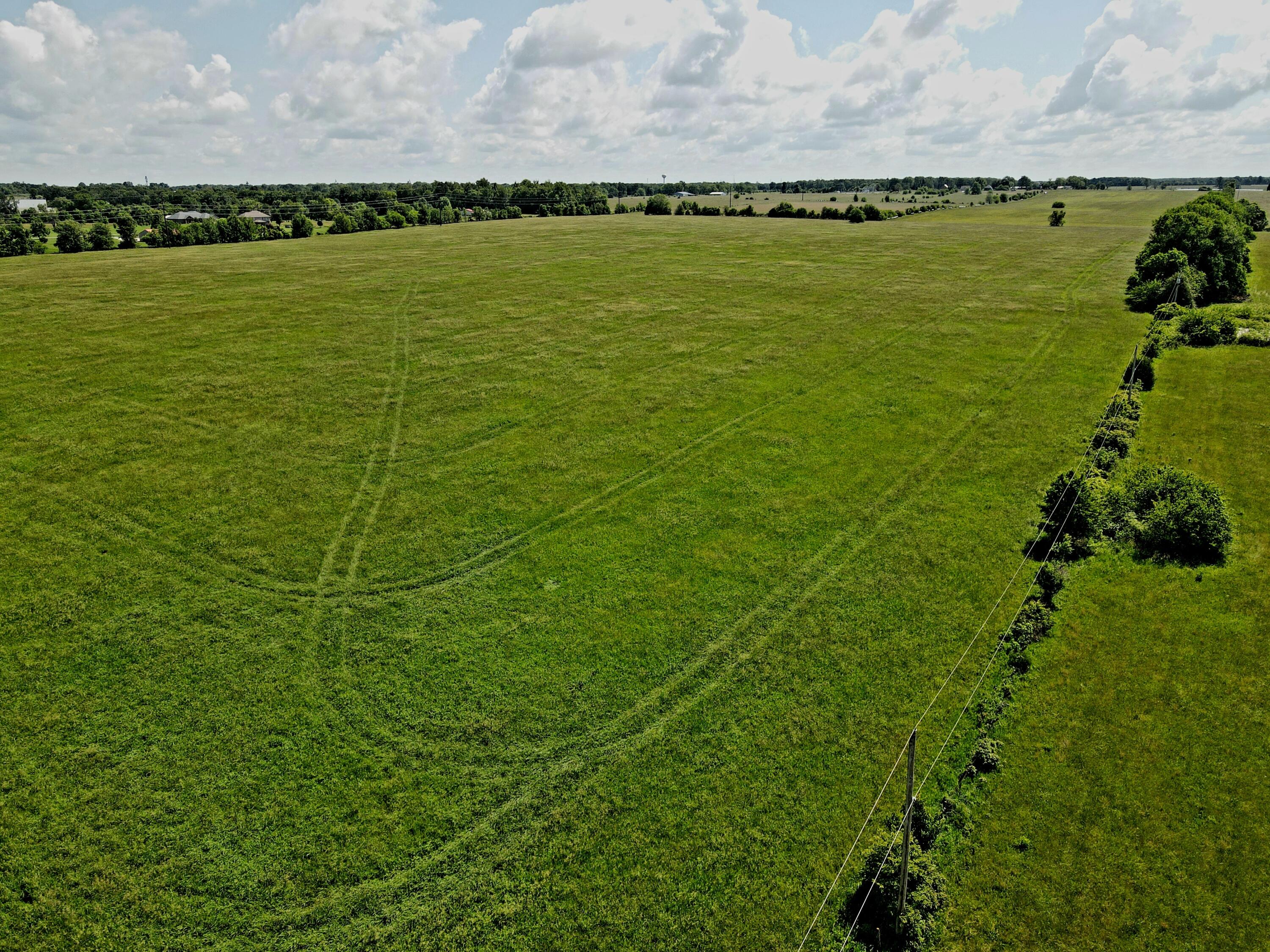 Photo 16 - Land for sale – 3246 N State Highway 125   Strafford, MO