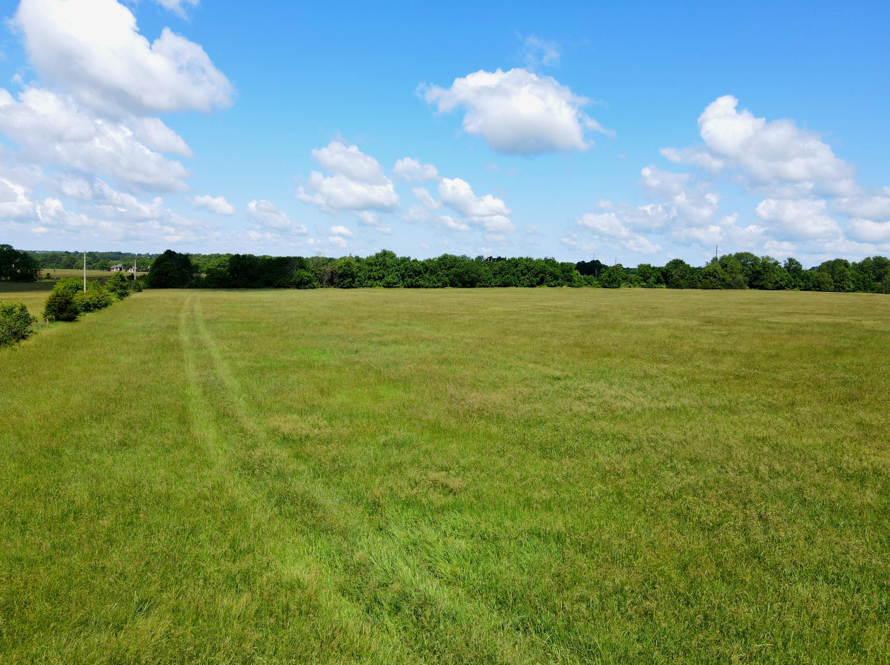 Photo 4 - Land for sale – 3246 N State Highway 125   Strafford, MO