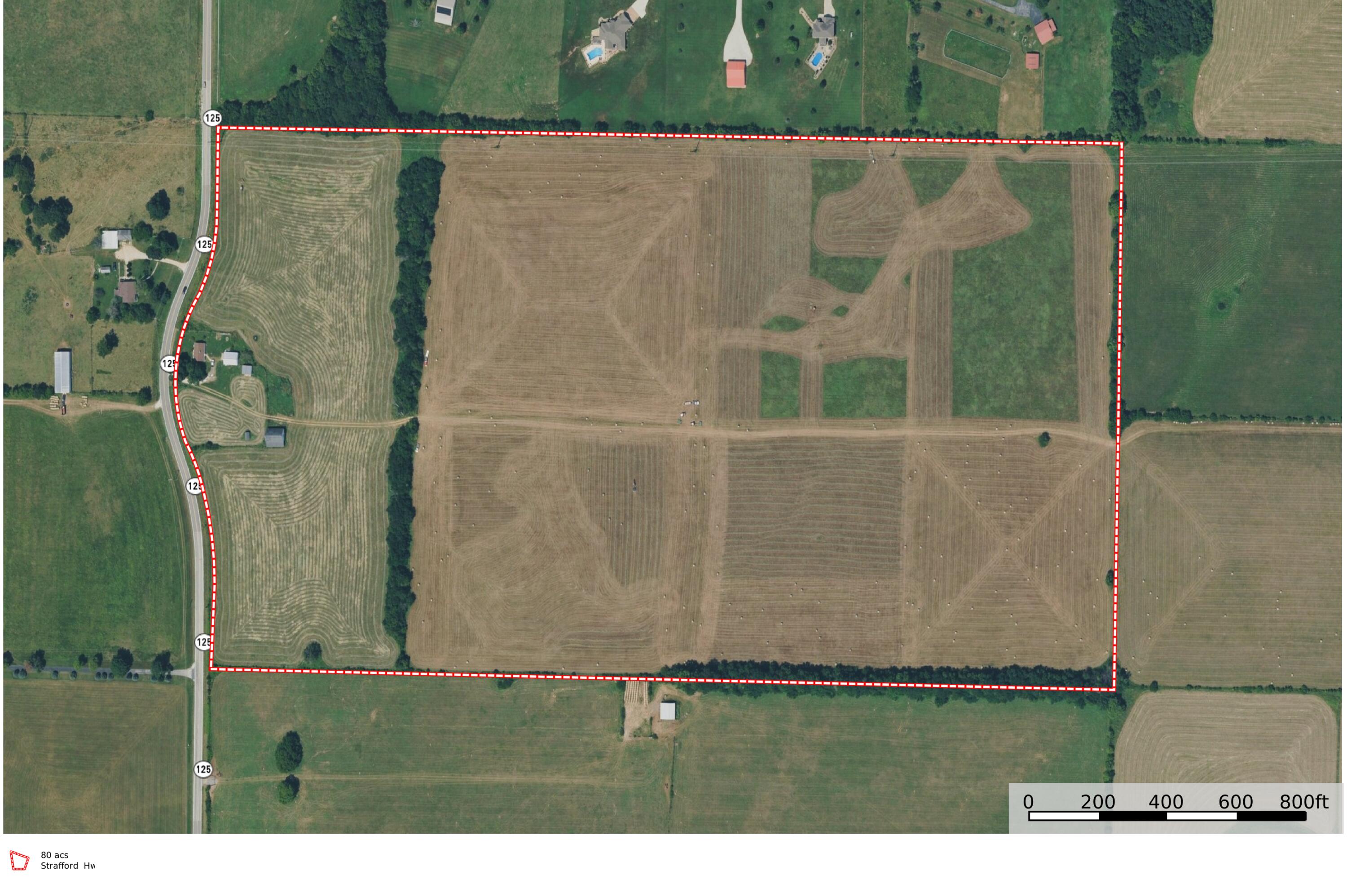 Photo 17 - Land for sale – 3246 N State Highway 125   Strafford, MO