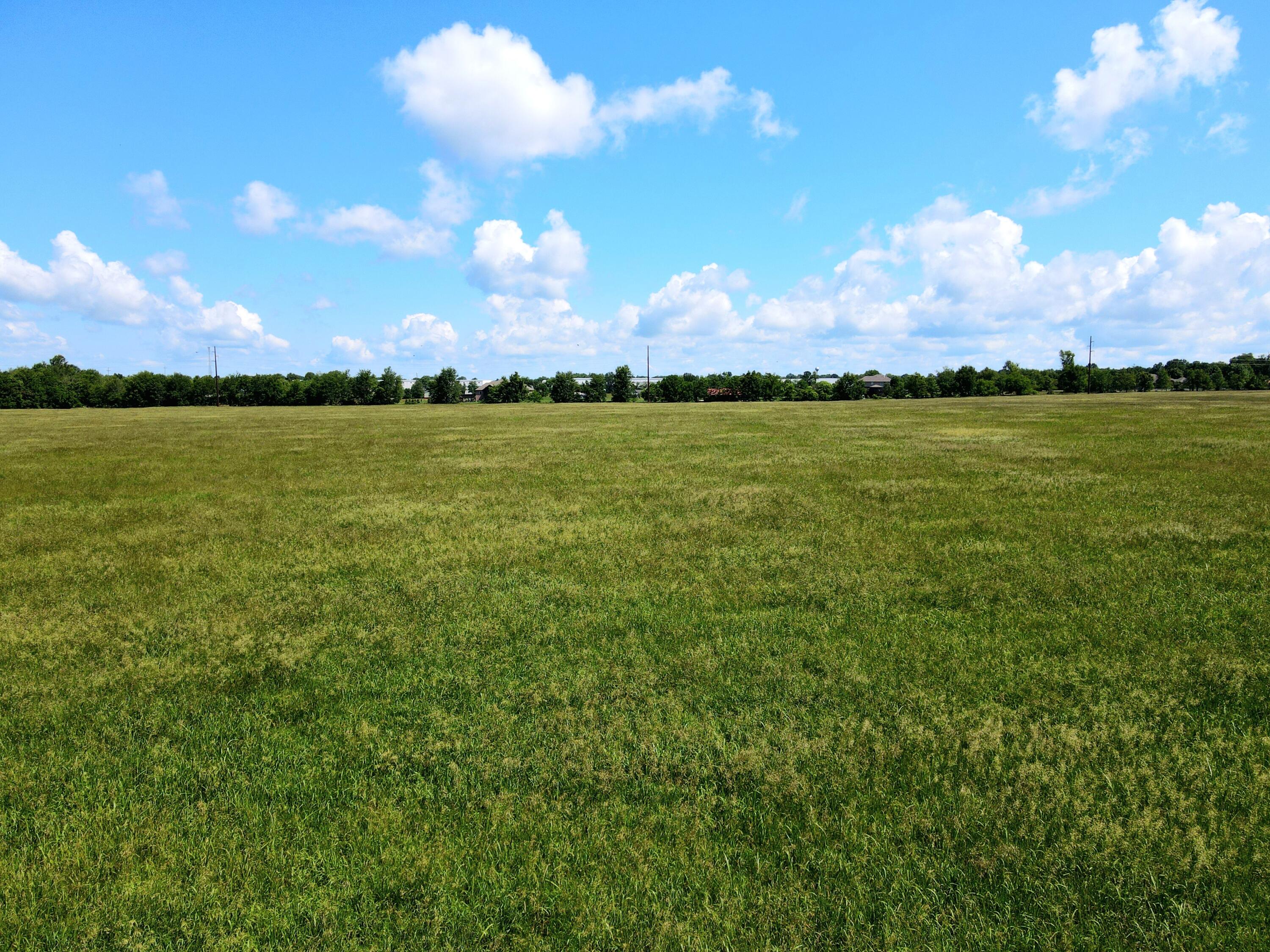 Photo 3 - Land for sale – 3246 N State Highway 125   Strafford, MO