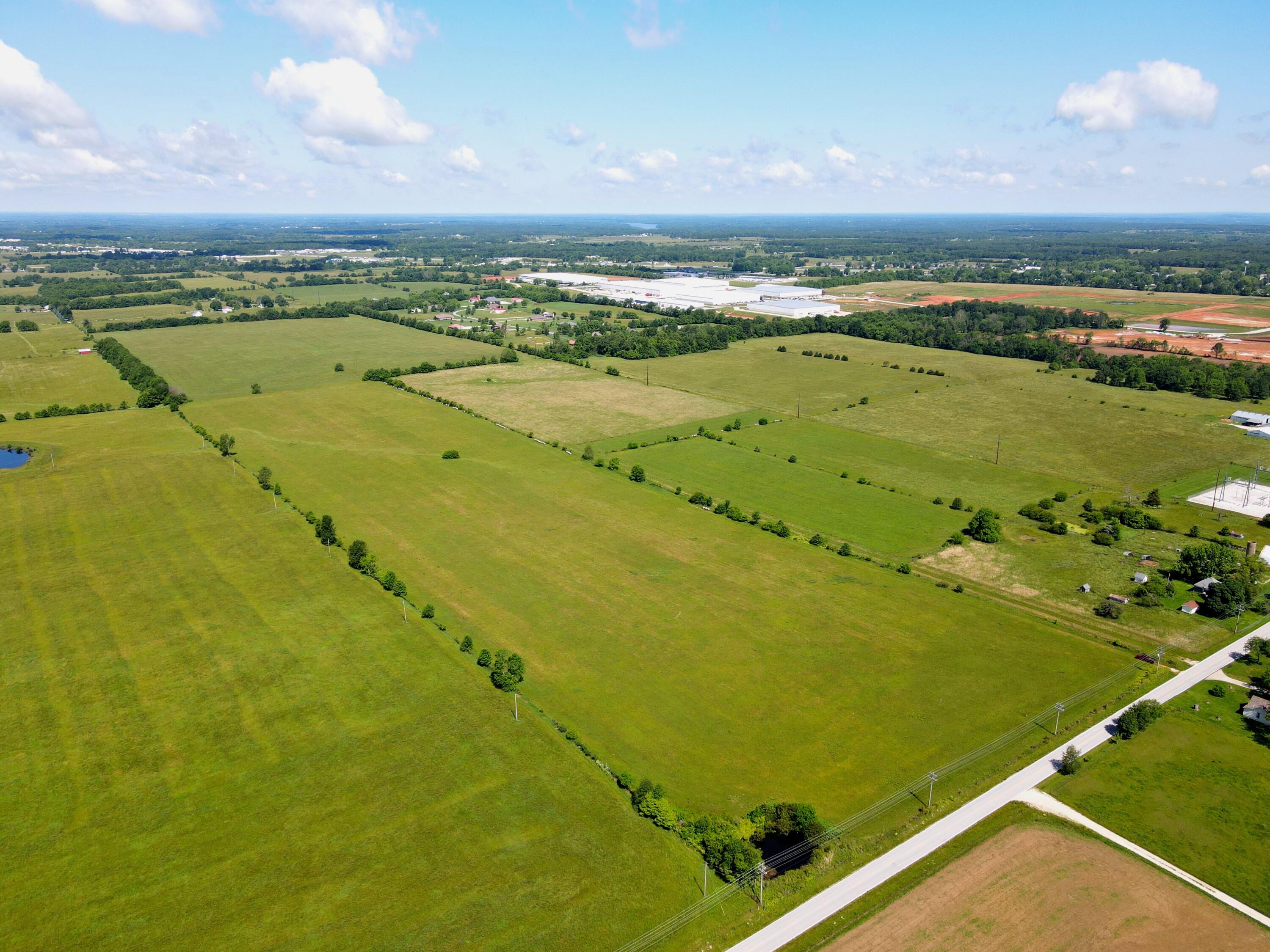 Photo 9 - Land for sale – 000 N Farm Road 231   Strafford, MO