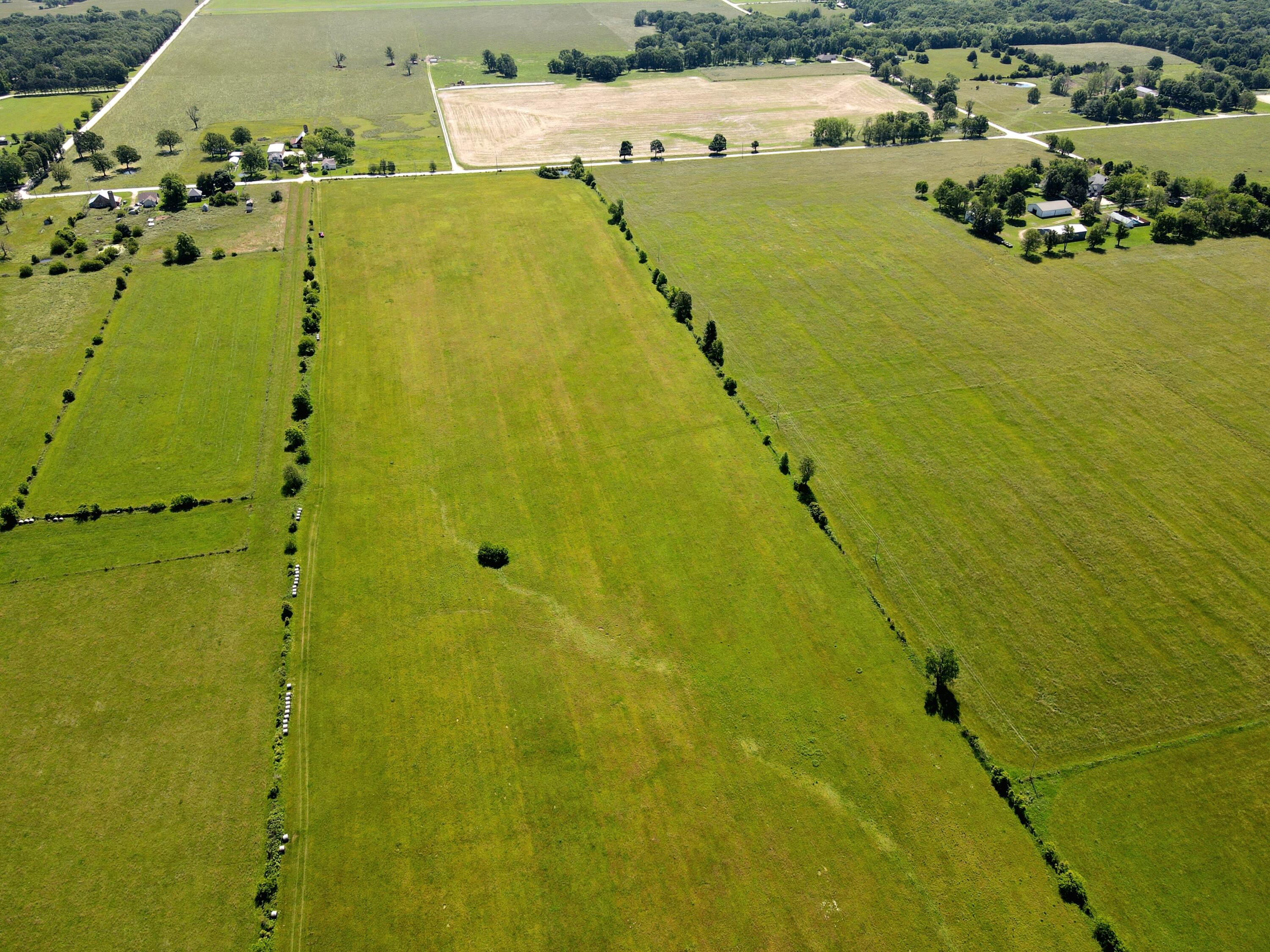 Photo 11 - Land for sale – 000 N Farm Road 231   Strafford, MO