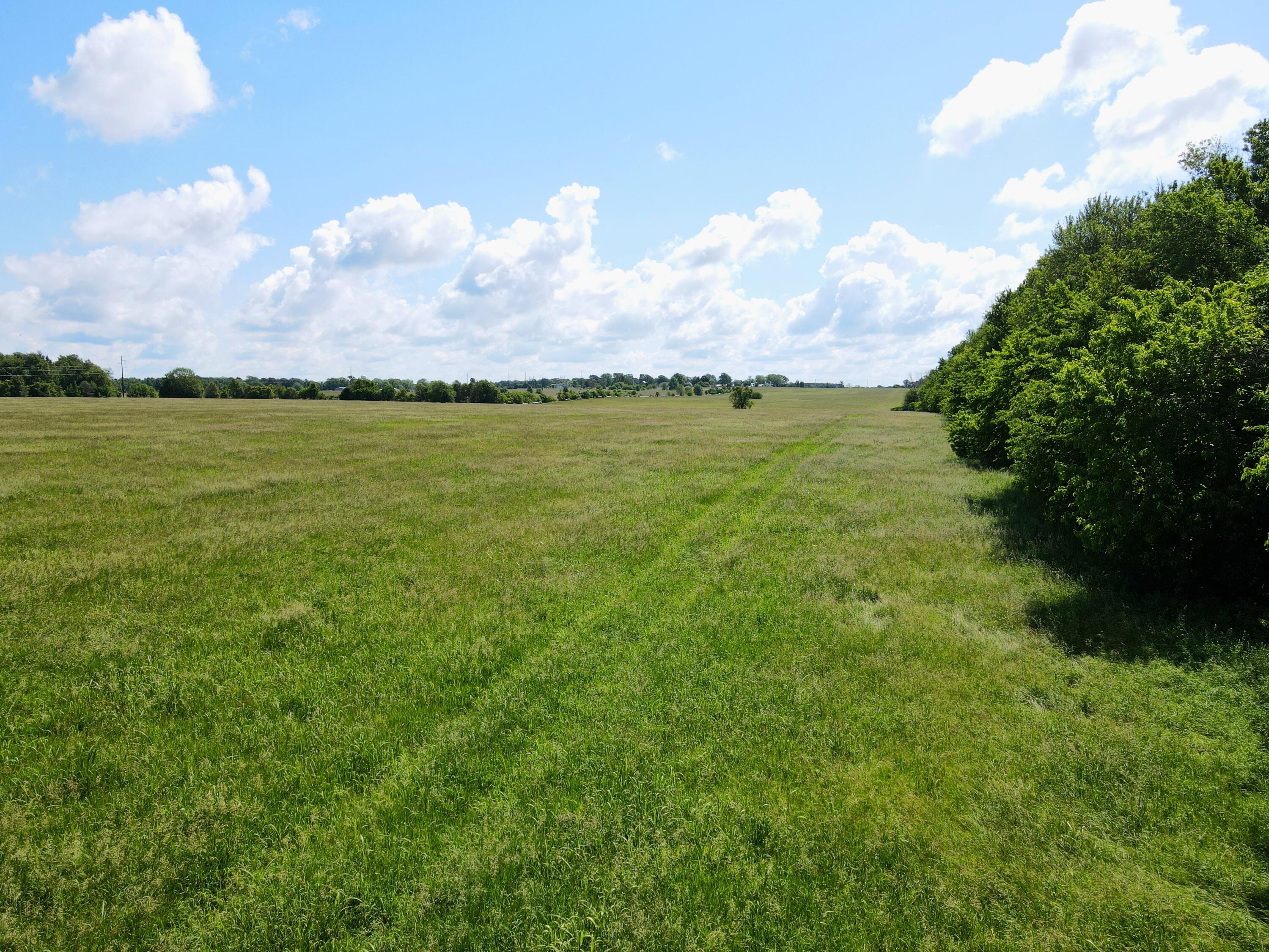 Photo 6 - Land for sale – 000 N Farm Road 231   Strafford, MO