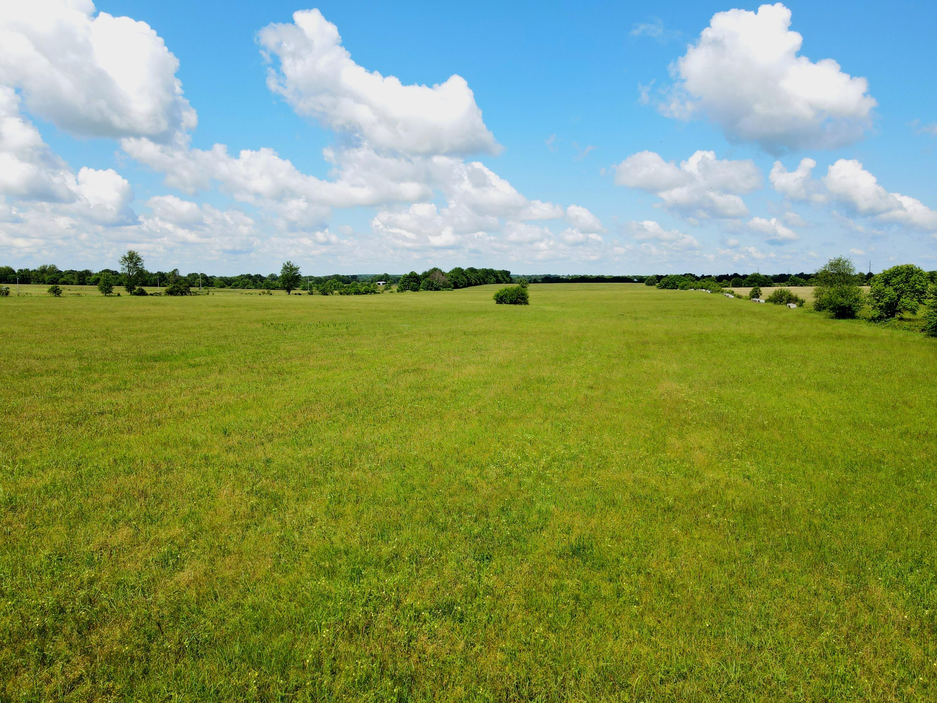 Photo 8 - Land for sale – 000 N Farm Road 231   Strafford, MO