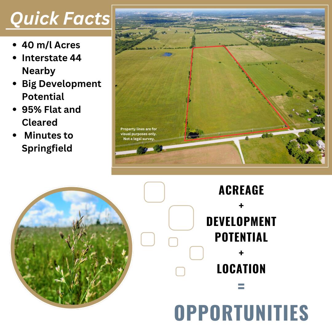 Land for sale – 000 N Farm Road 231 Strafford, MO