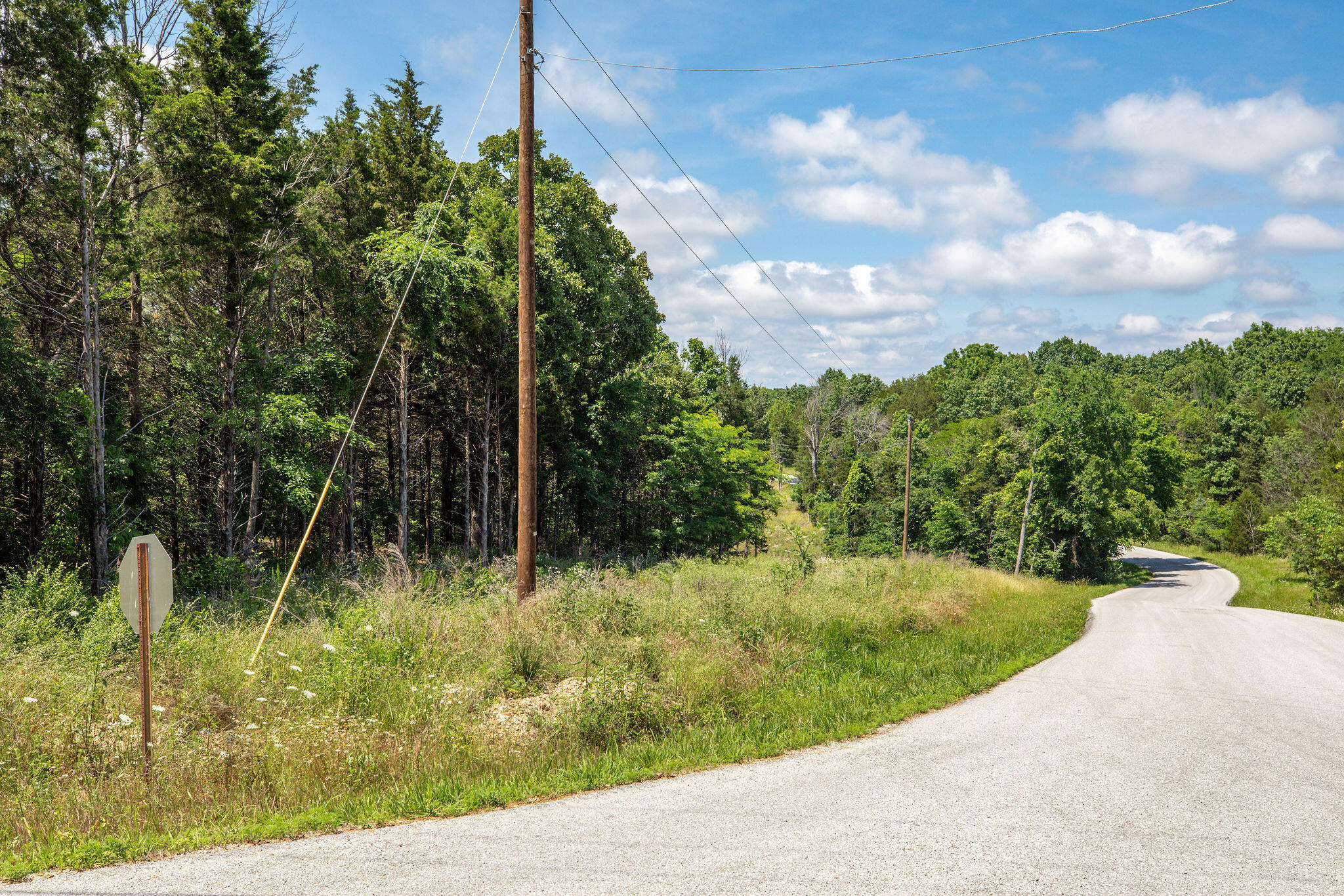 Photo 4 - Land for sale – 205  Mayflower Drive  Lampe, MO