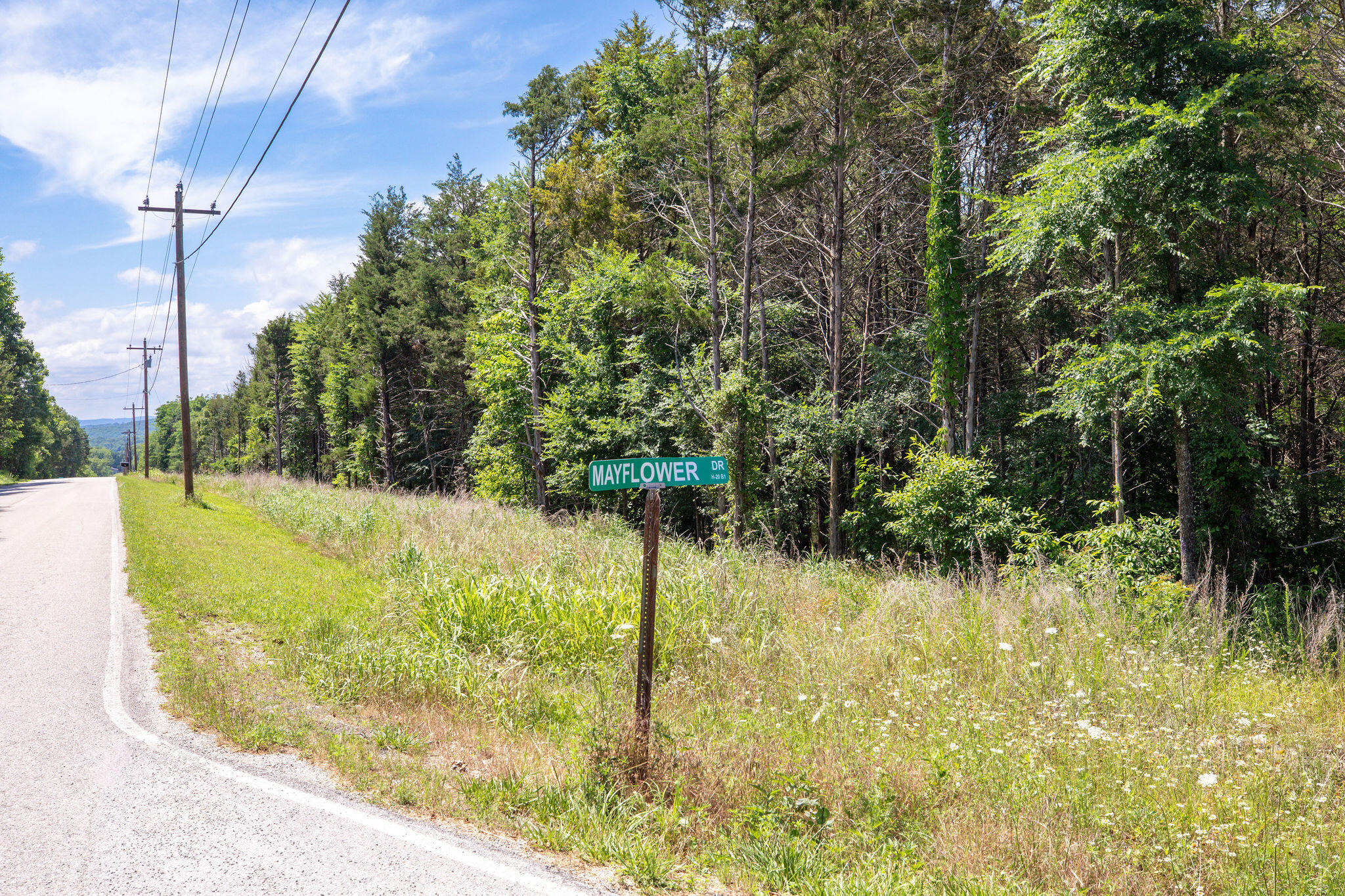 Photo 5 - Land for sale – 205  Mayflower Drive  Lampe, MO