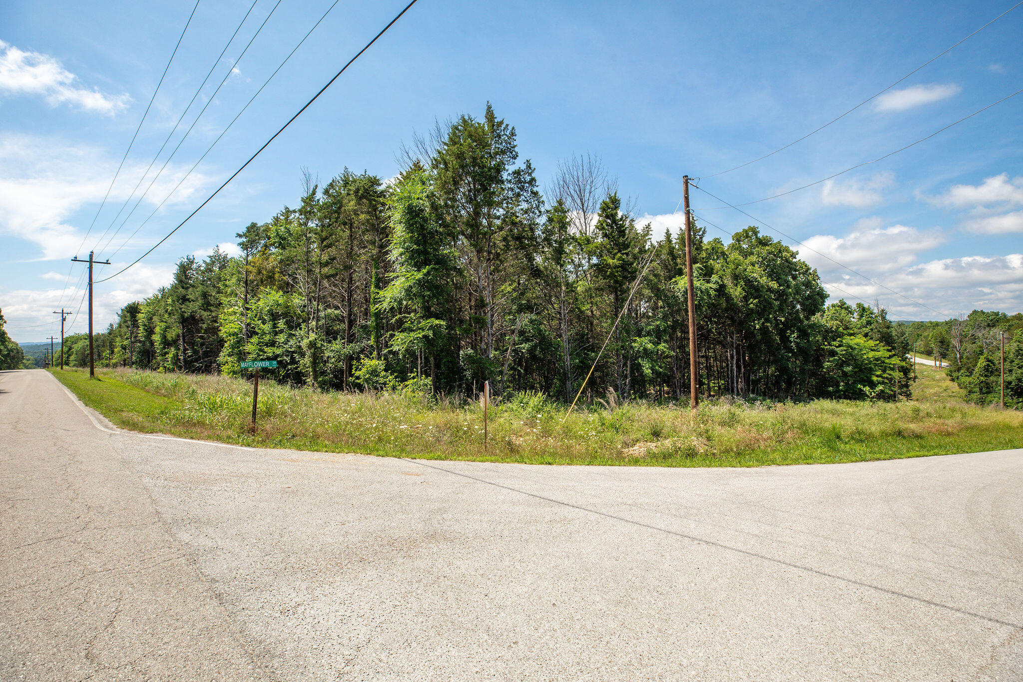 Photo 3 - Land for sale – 205  Mayflower Drive  Lampe, MO