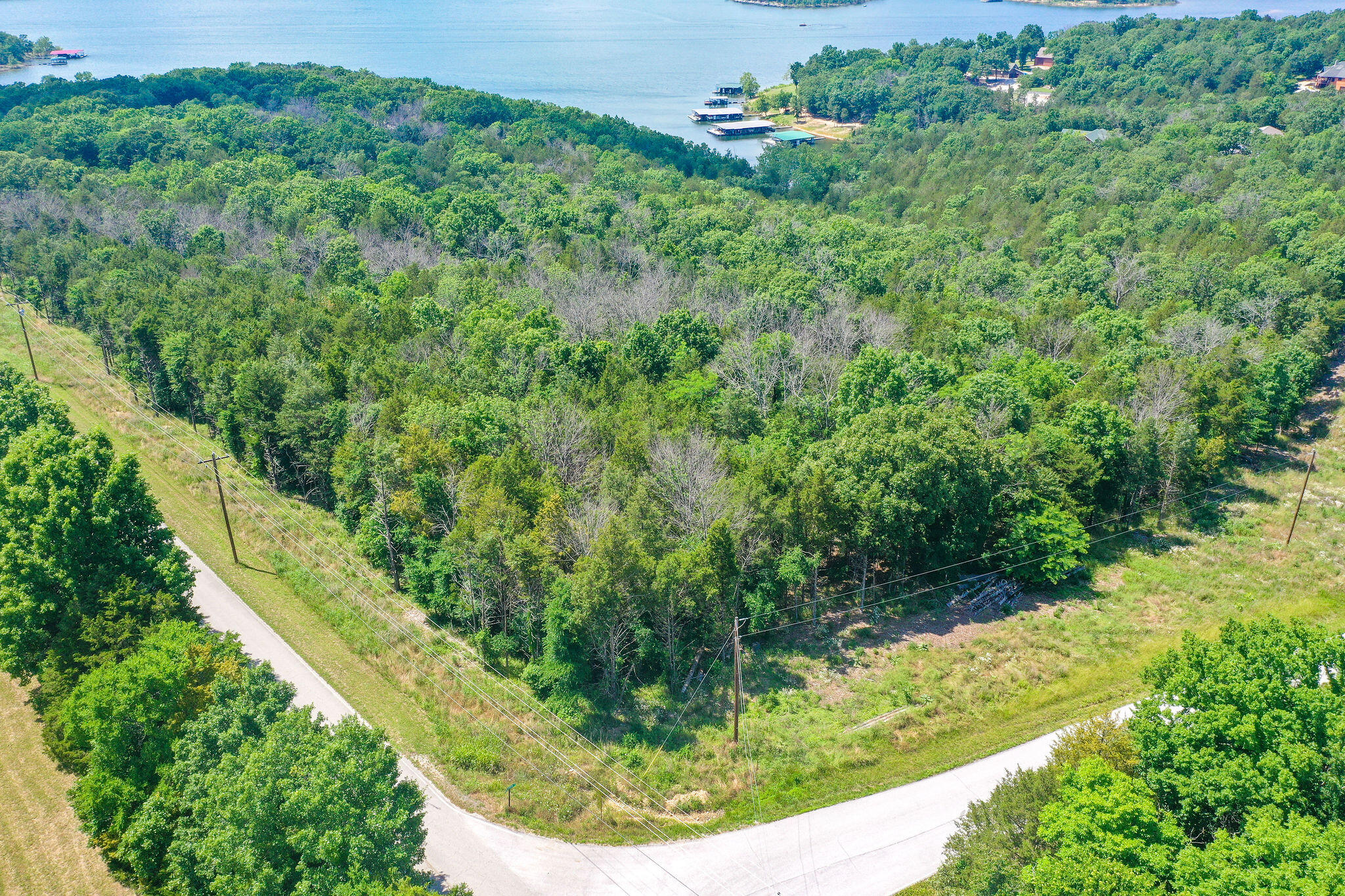 Photo 9 - Land for sale – 205  Mayflower Drive  Lampe, MO