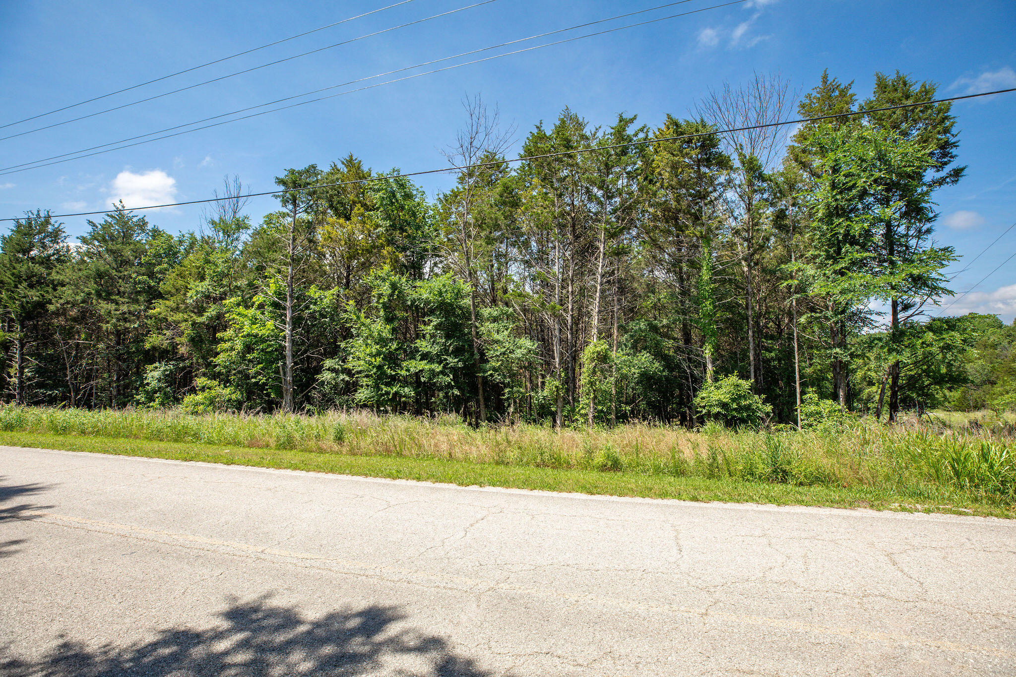 Photo 6 - Land for sale – 205  Mayflower Drive  Lampe, MO